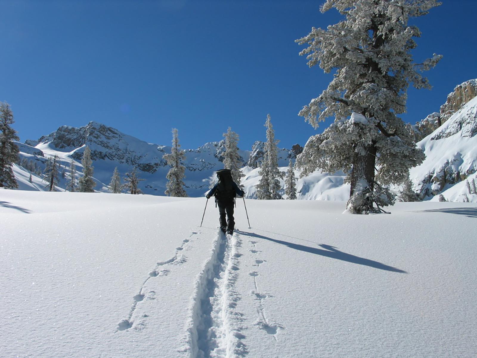 A skier walks down a trail among a snowy landscape.