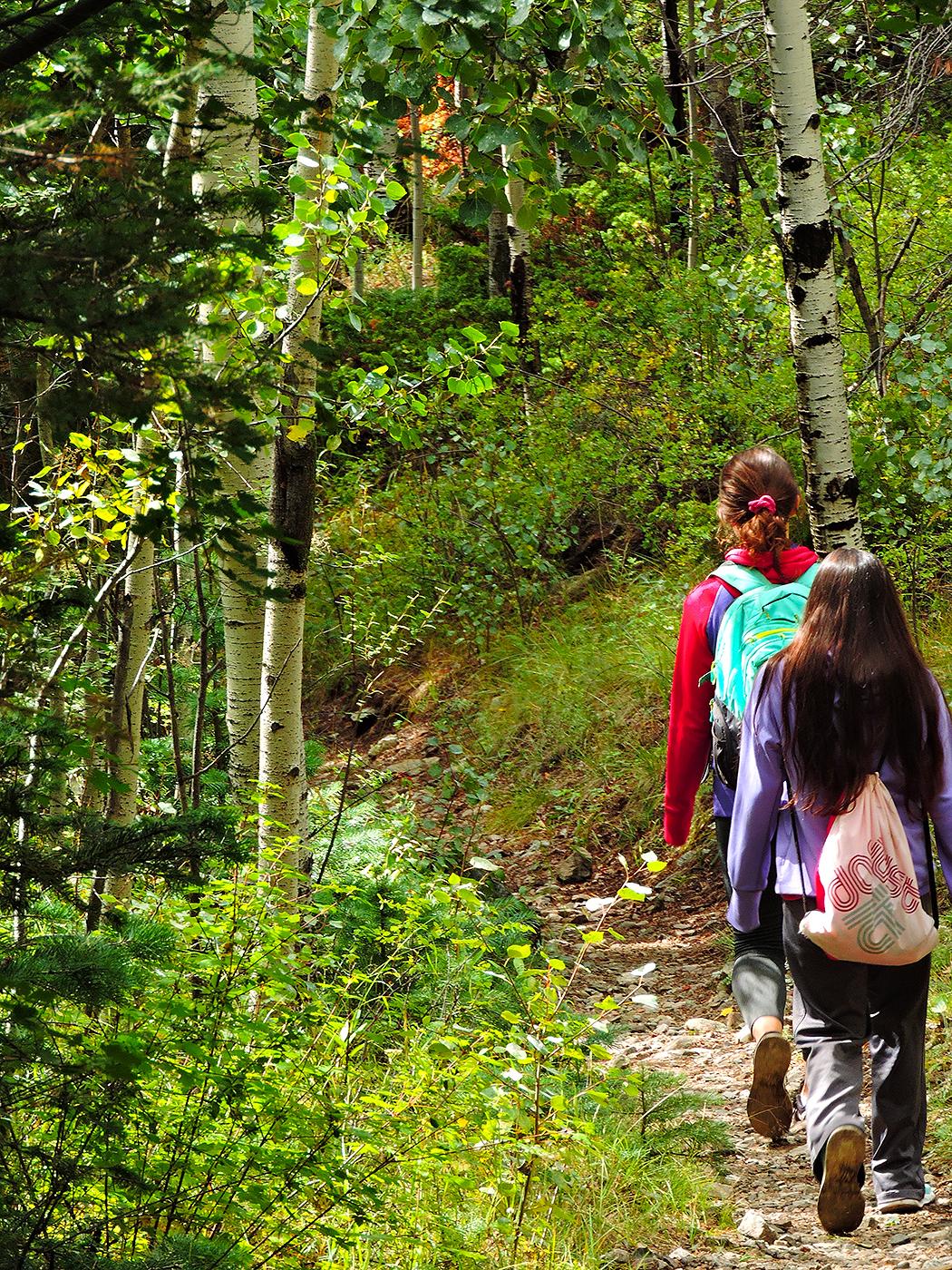 Two girls hiking on a forested trail