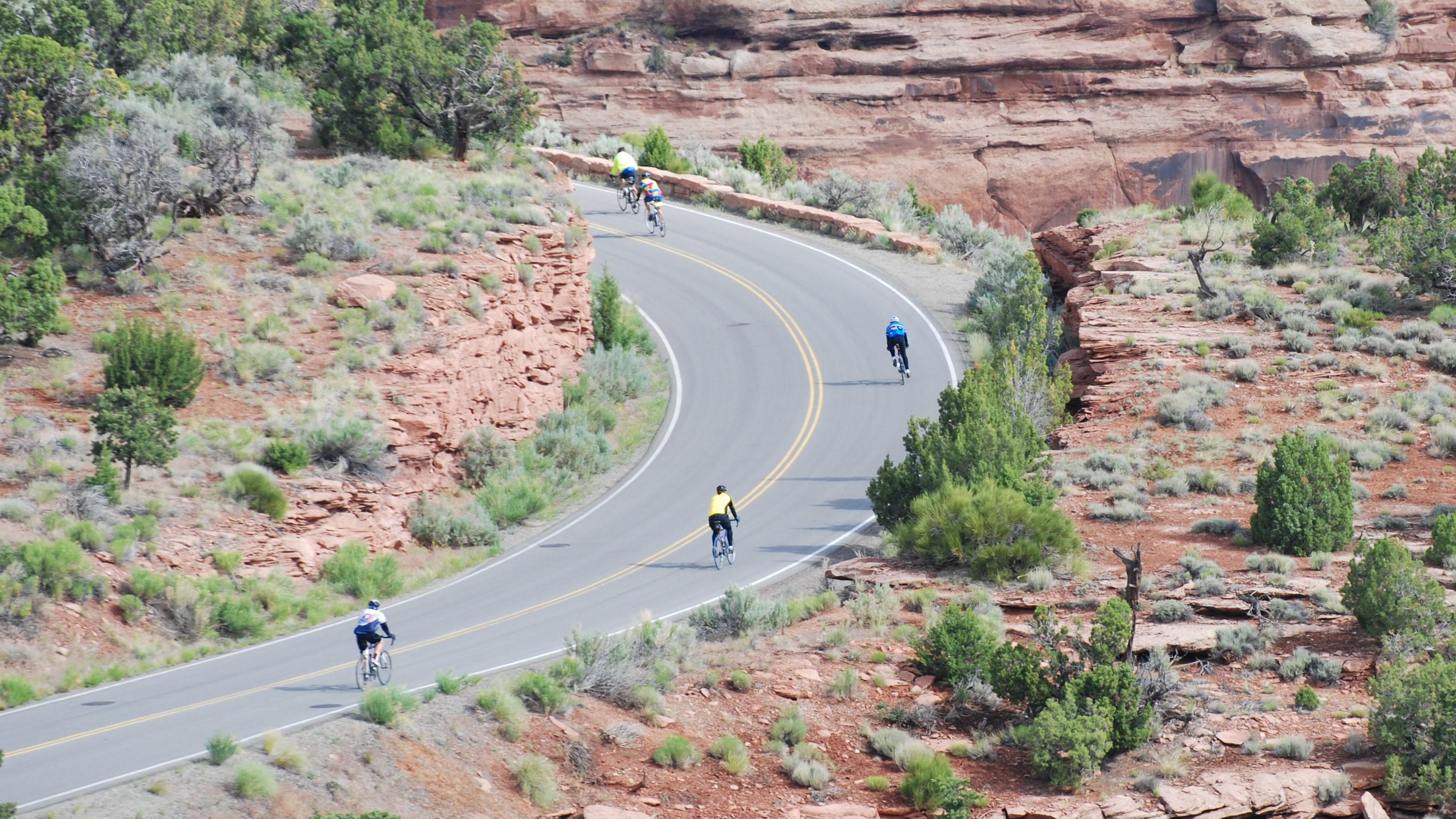 five road cyclists surrounded by red slickrock and green shrubbery