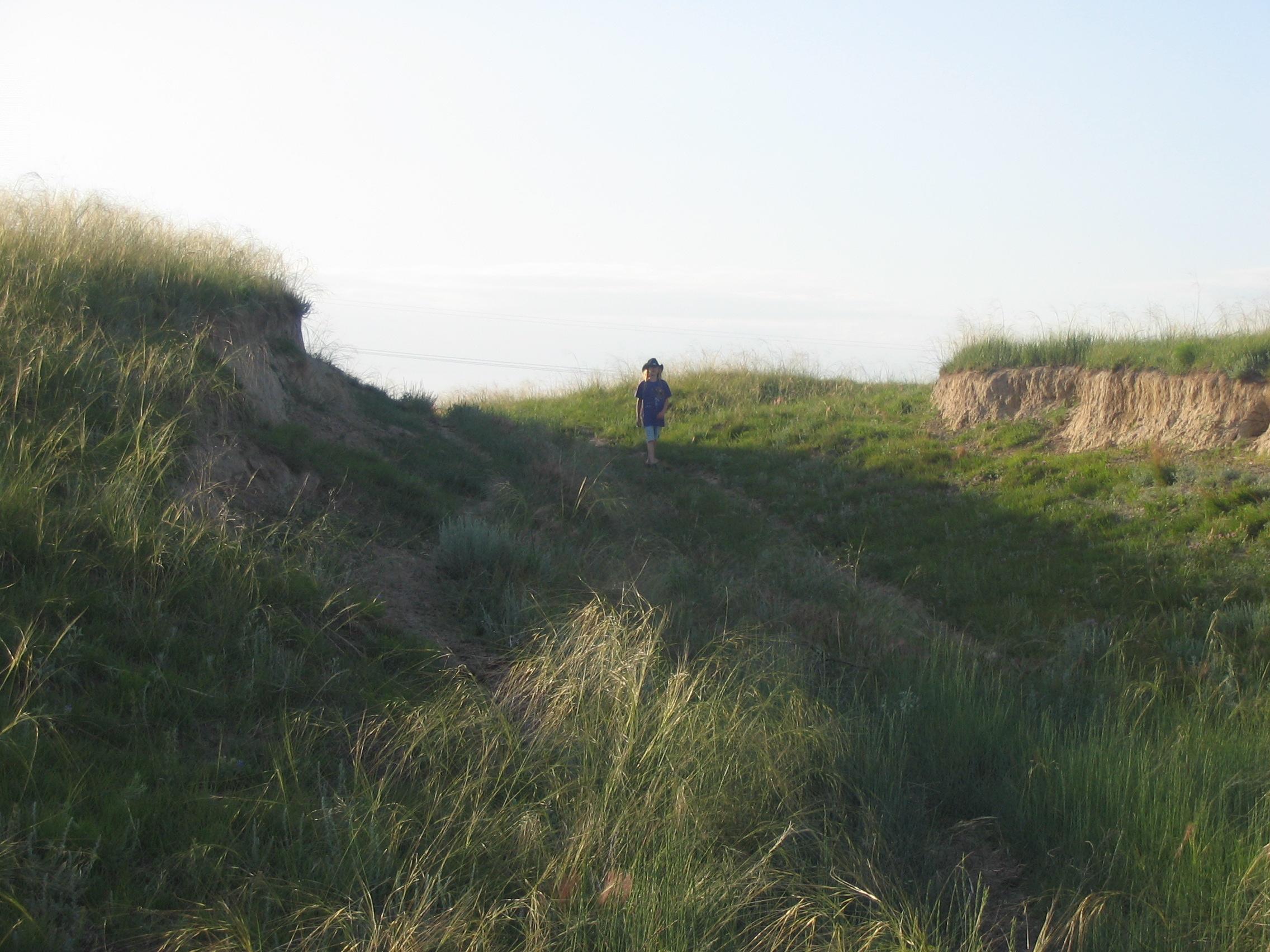 A person walks on a grassy hill.