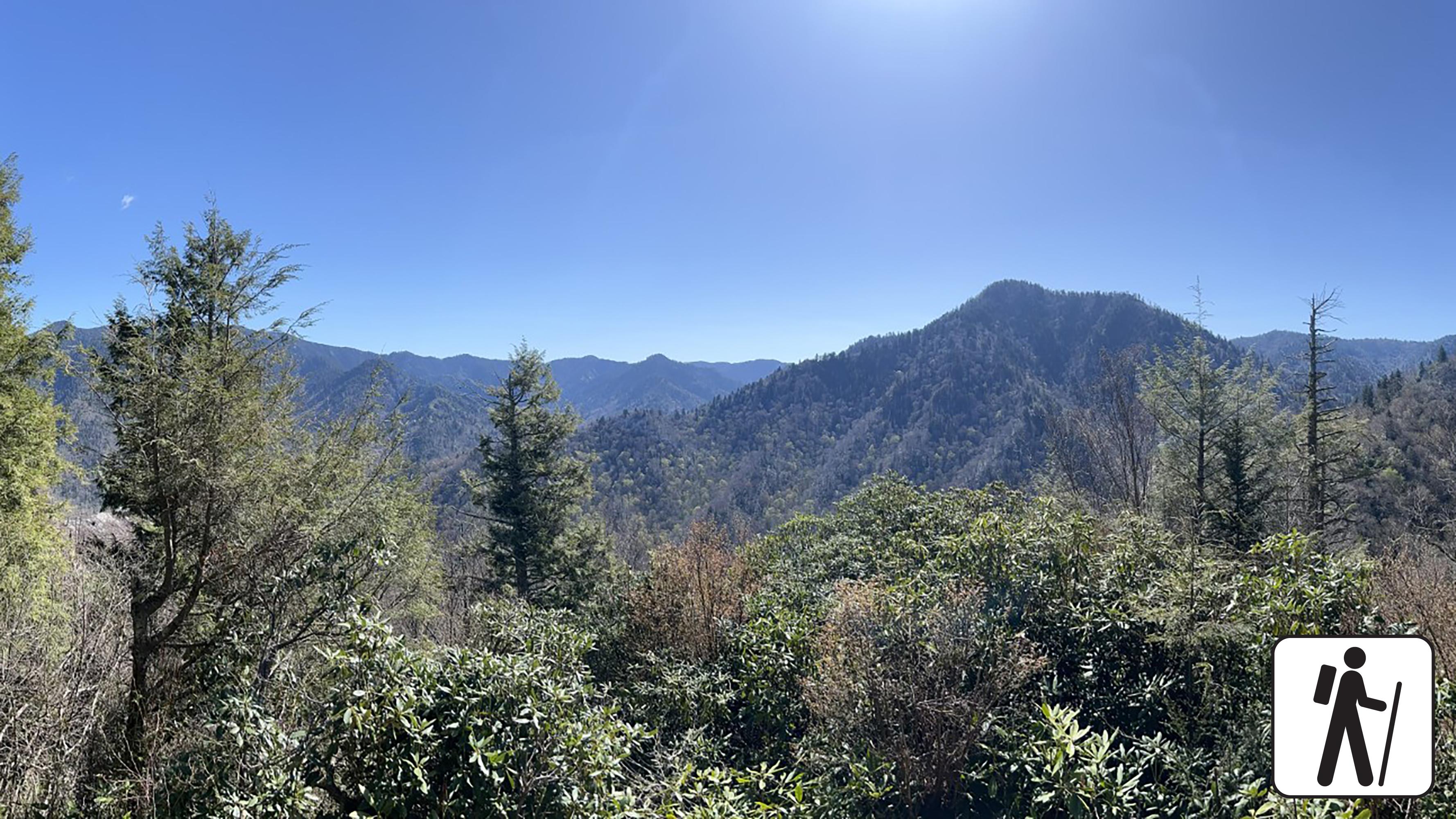 An Appalachian mountain view on a sunny day. Trees and other vegetation in the foreground.