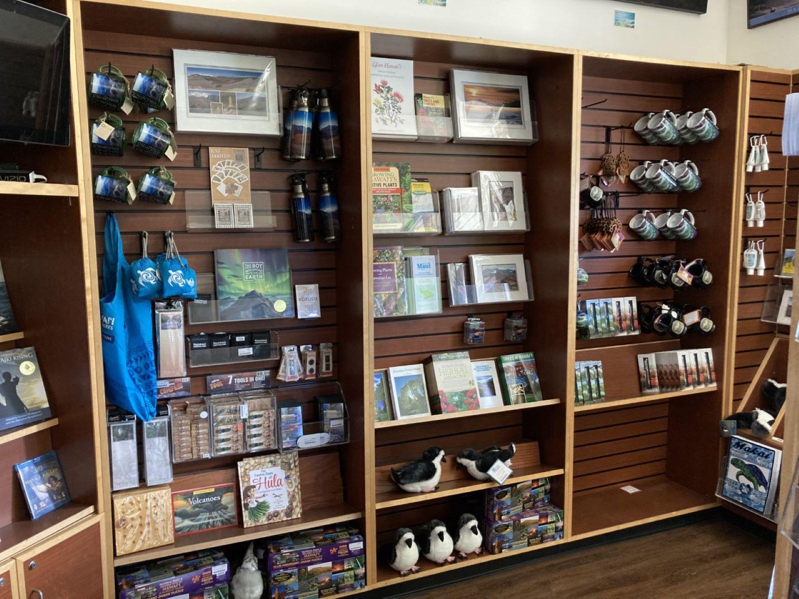 A bookstore with shelves of books, bottles, and plush animals