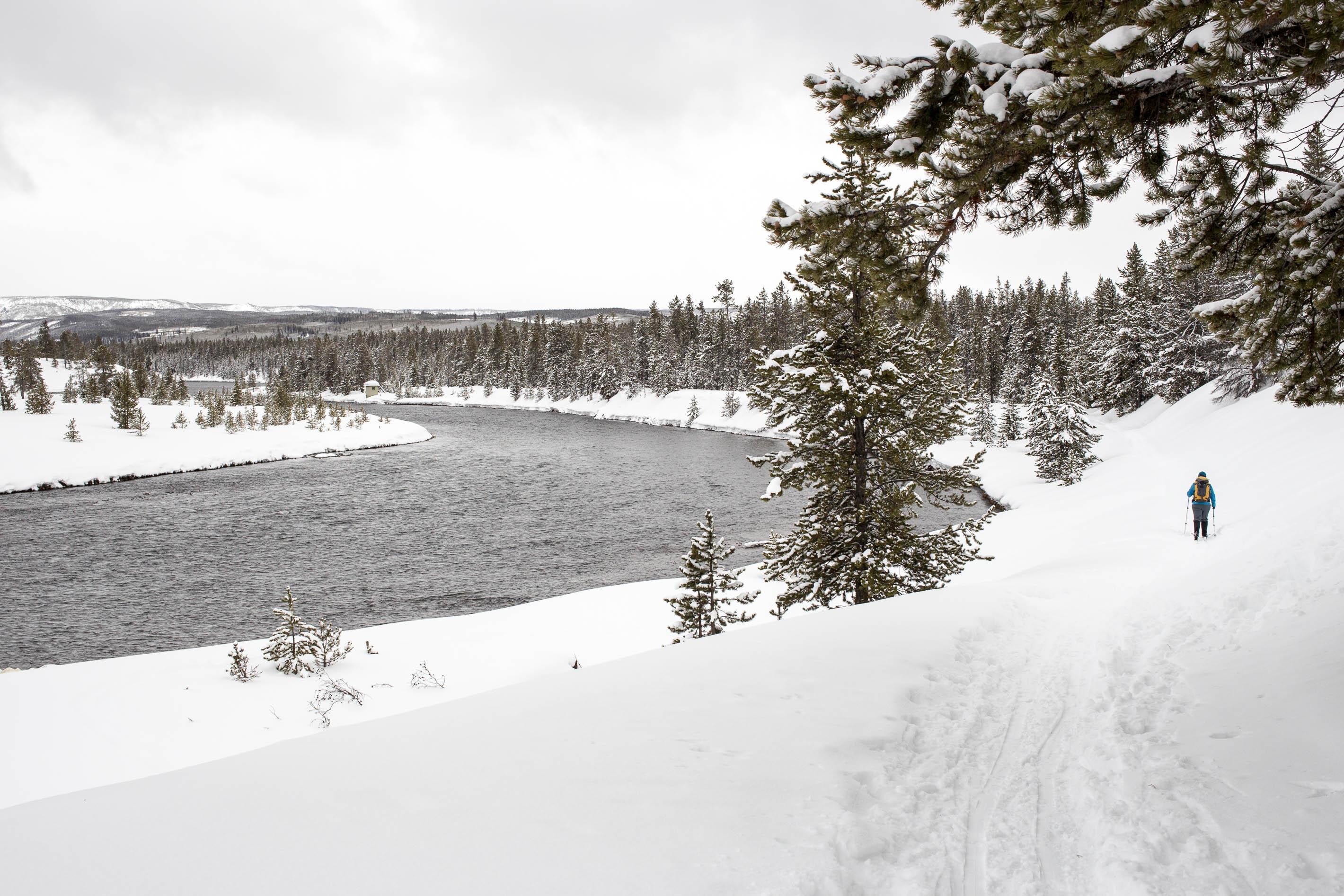 A lone skier makes their way along the Madison River on the Riverside Ski Trail.