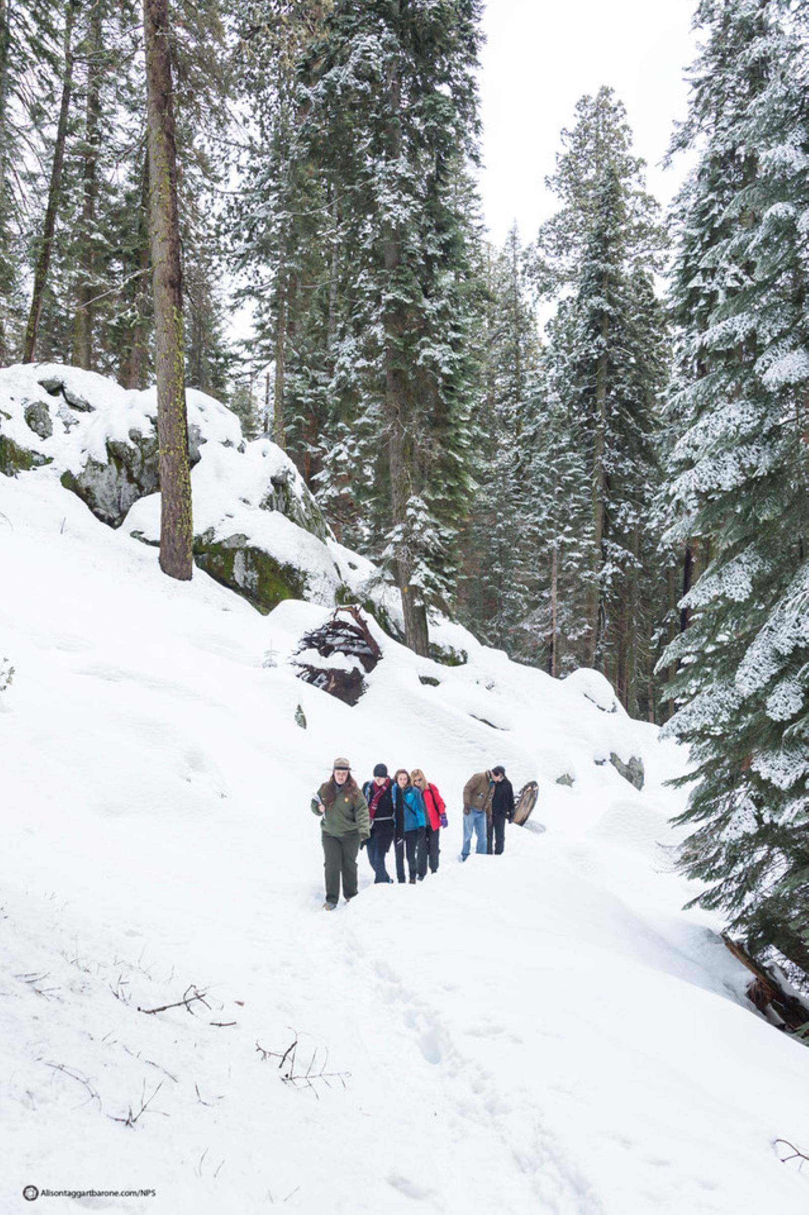 A ranger leads a tour through the snow