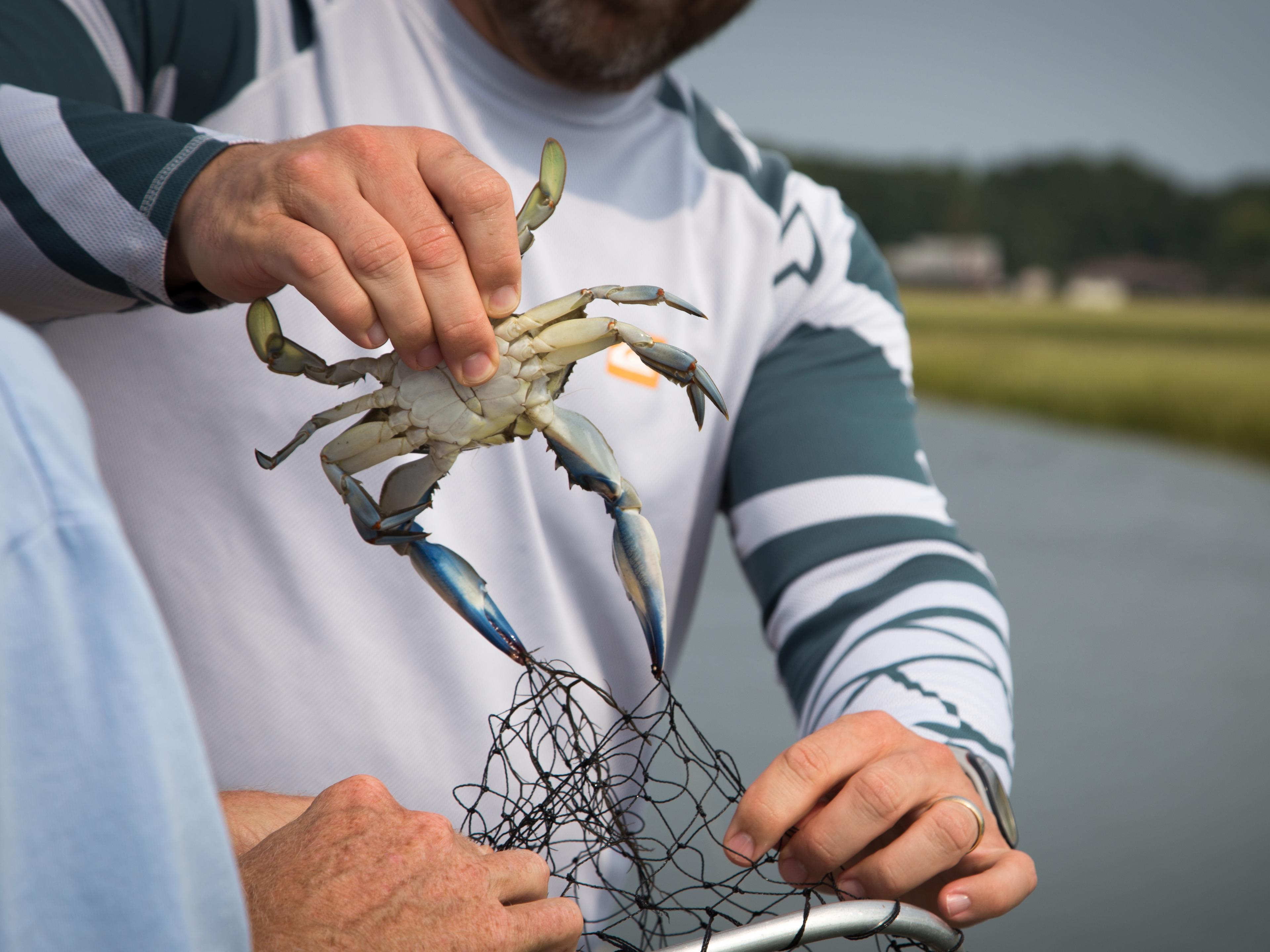 Go crabbing at Assateague