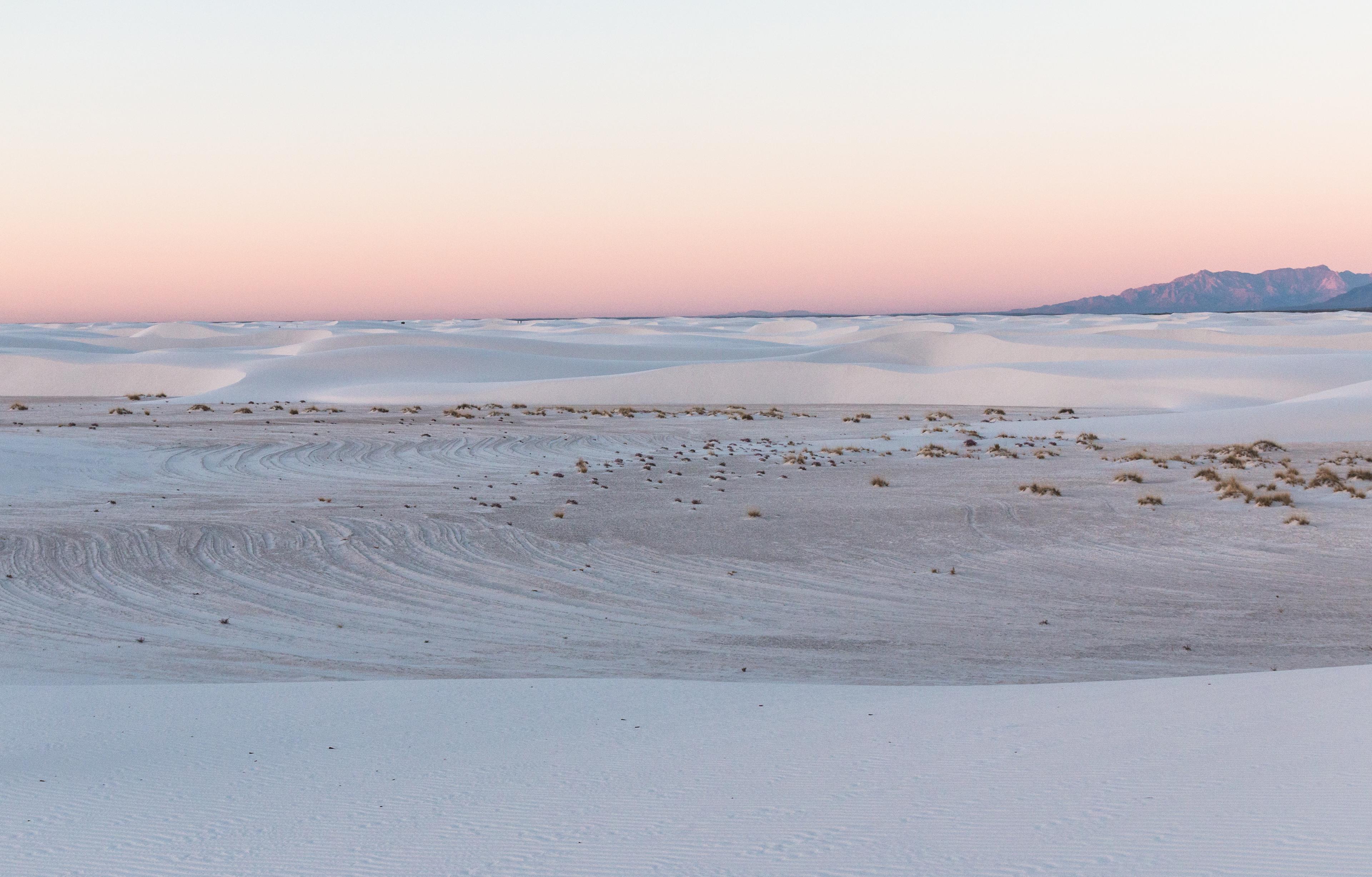 A pink sky at dusk over an interdune area