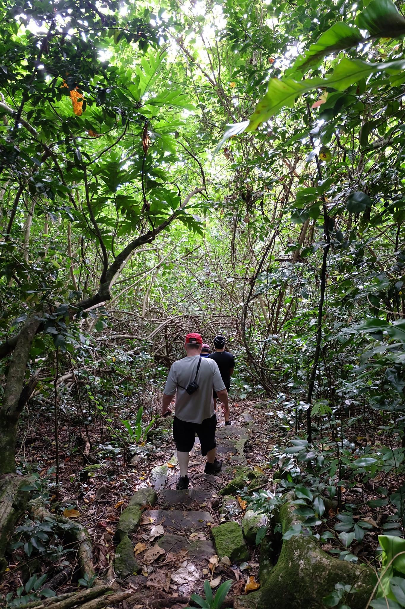 A row of men seen from behind hiking a narrow trail downward on low stone steps surrounded by trees.