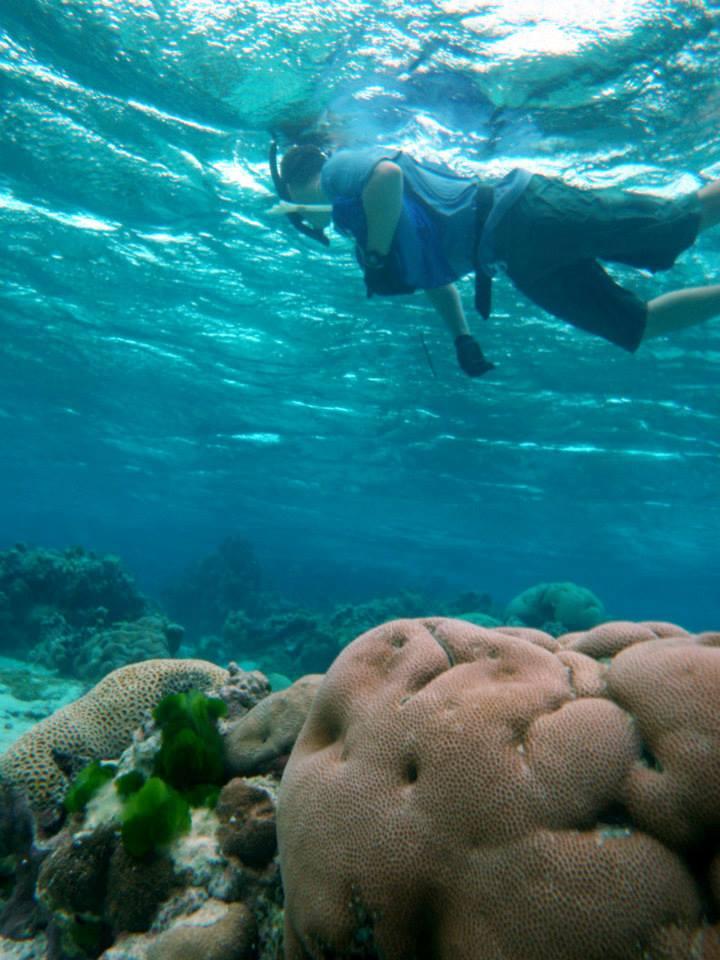 A snorkeler floats near the top of the image at the water's surface, with coral in the foreground.