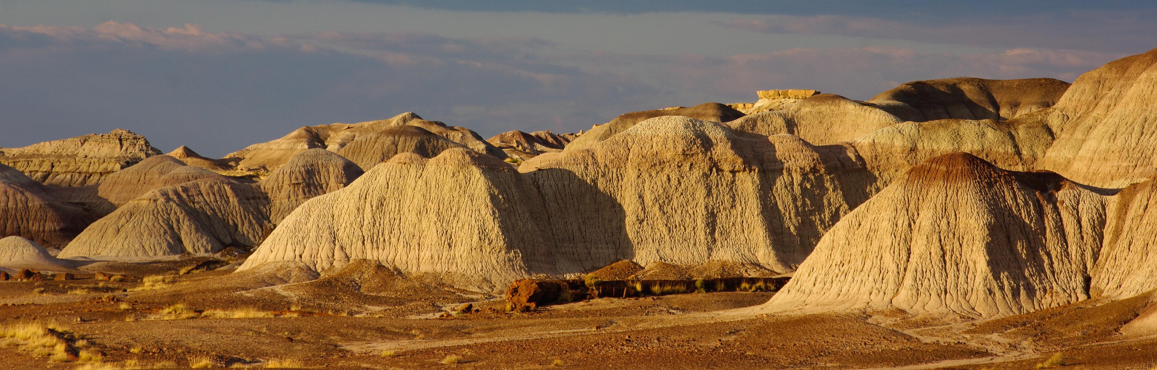 Late light on gray and purple badlands behind petrified logs under a lavender sky