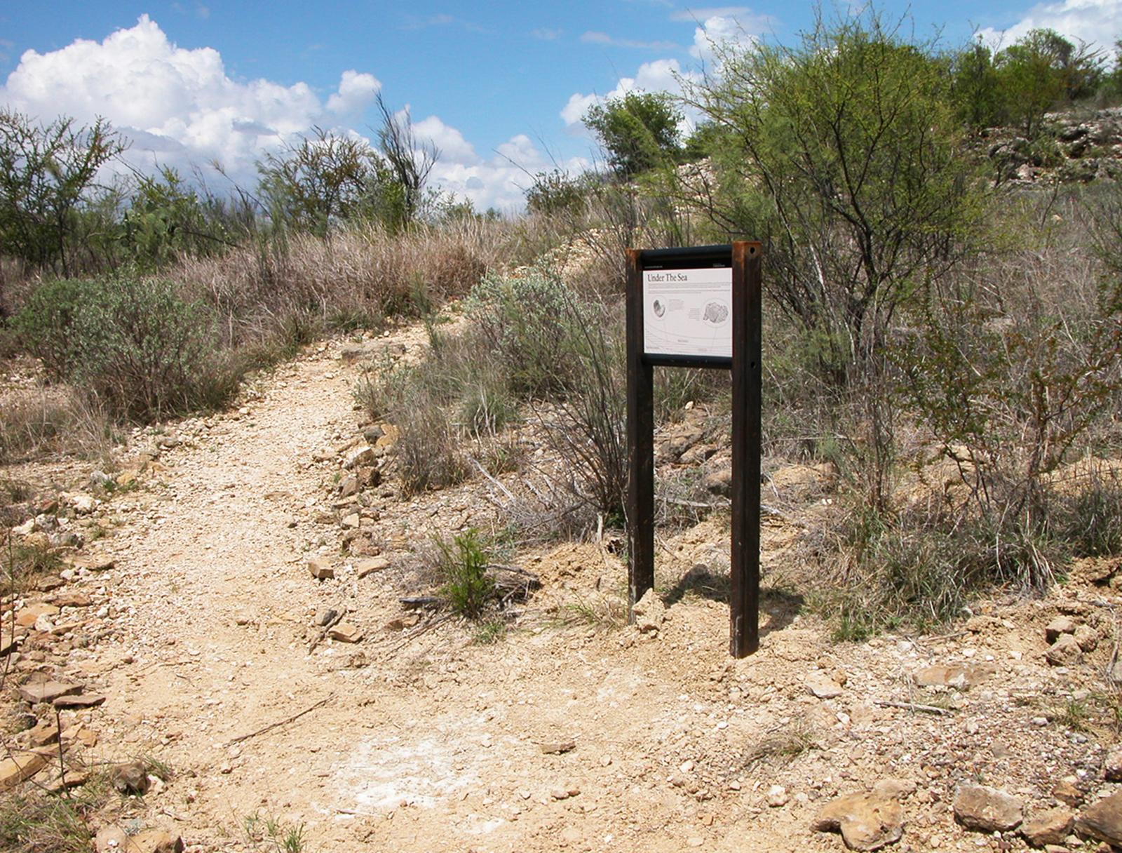 Compacted earth trail arcing up and to the right around a trailhead sign.