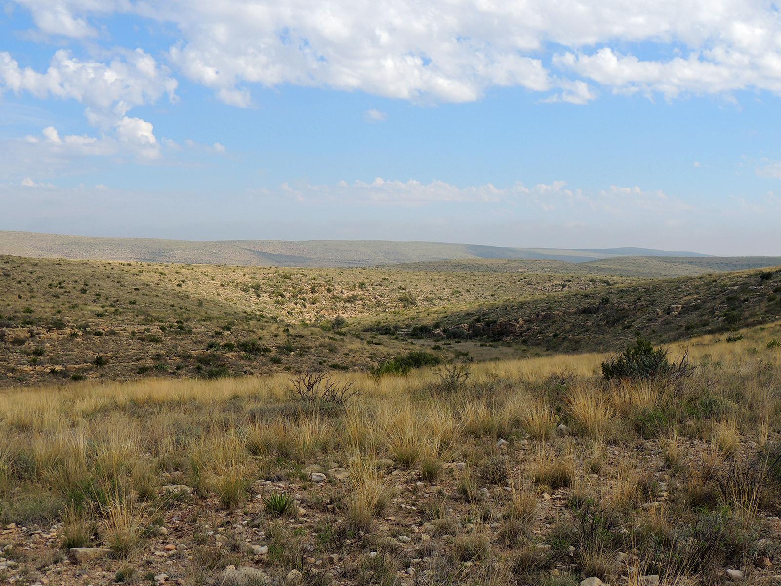 Photo of the desert landscape along the Guadalupe Ridge Trail.