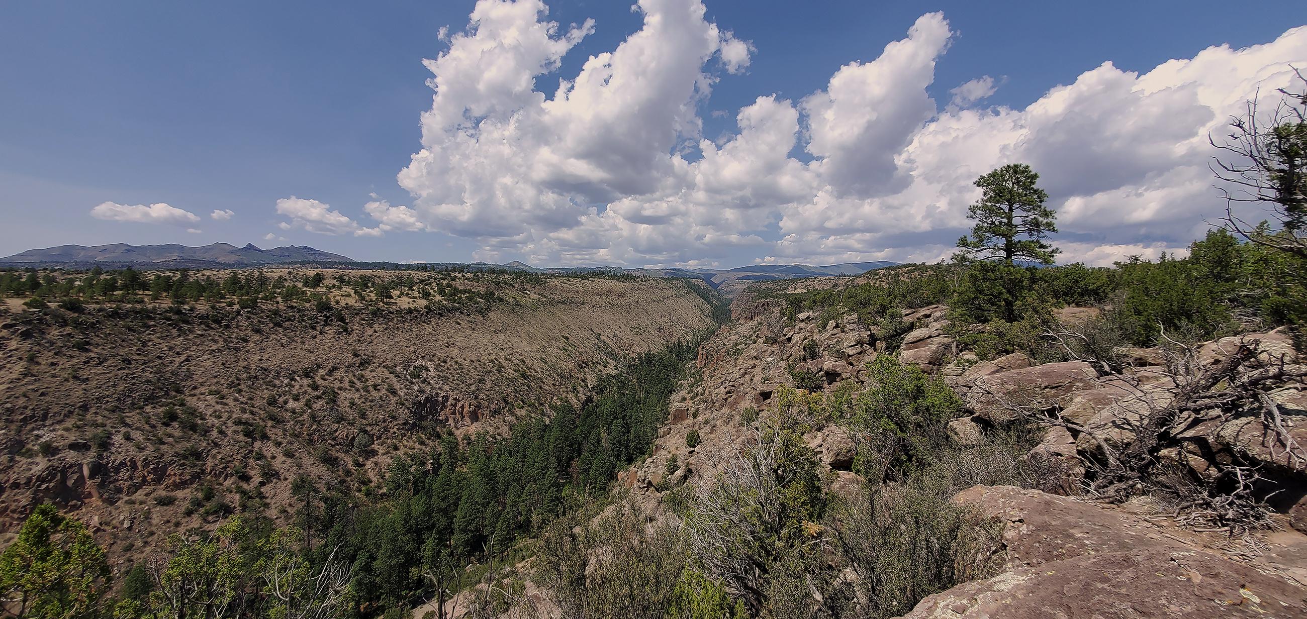 Frijoles Canyon from the rim section of the Frijoles Loop Trail.