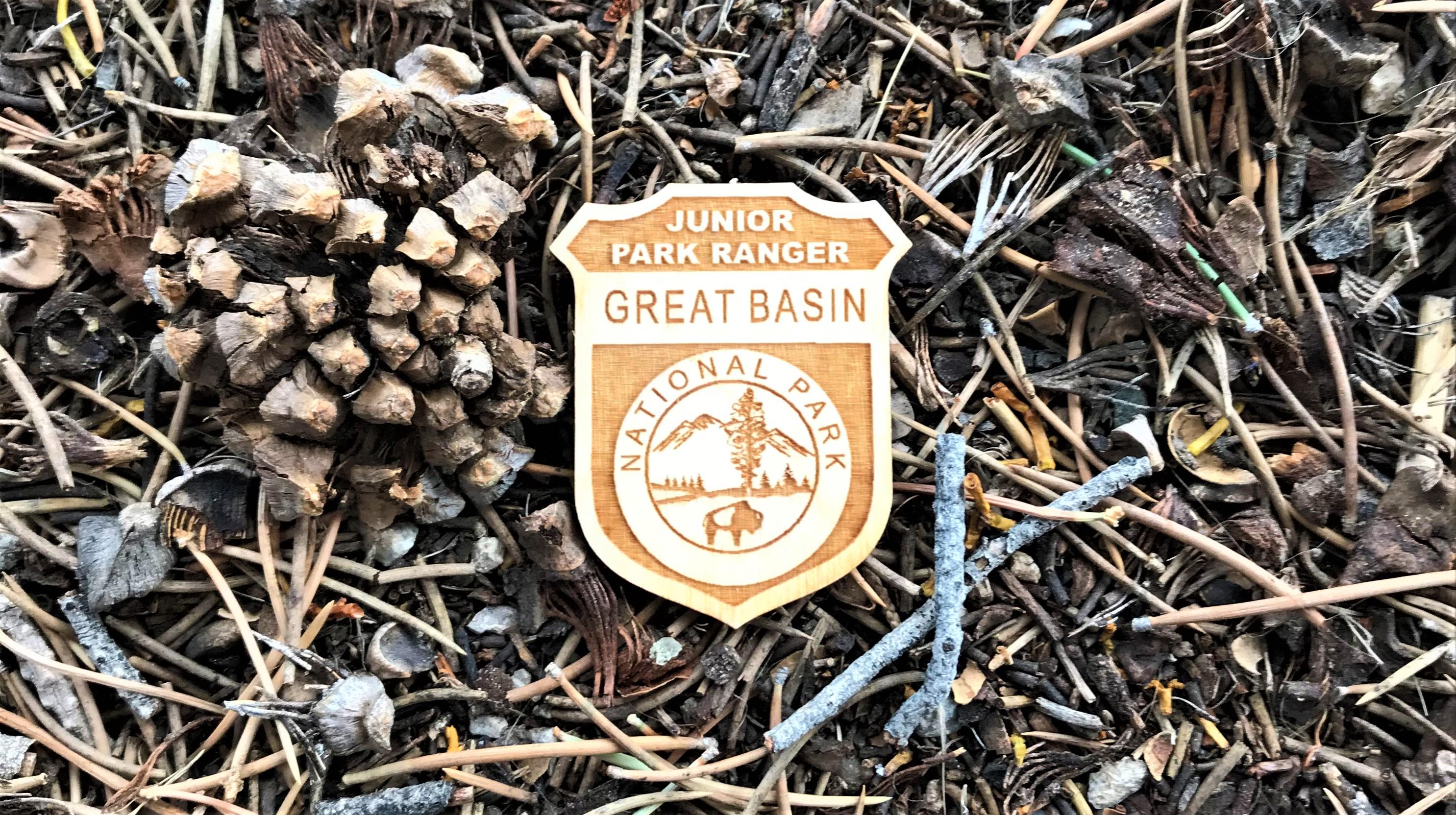 Wooden Junior Ranger badge on pine duff