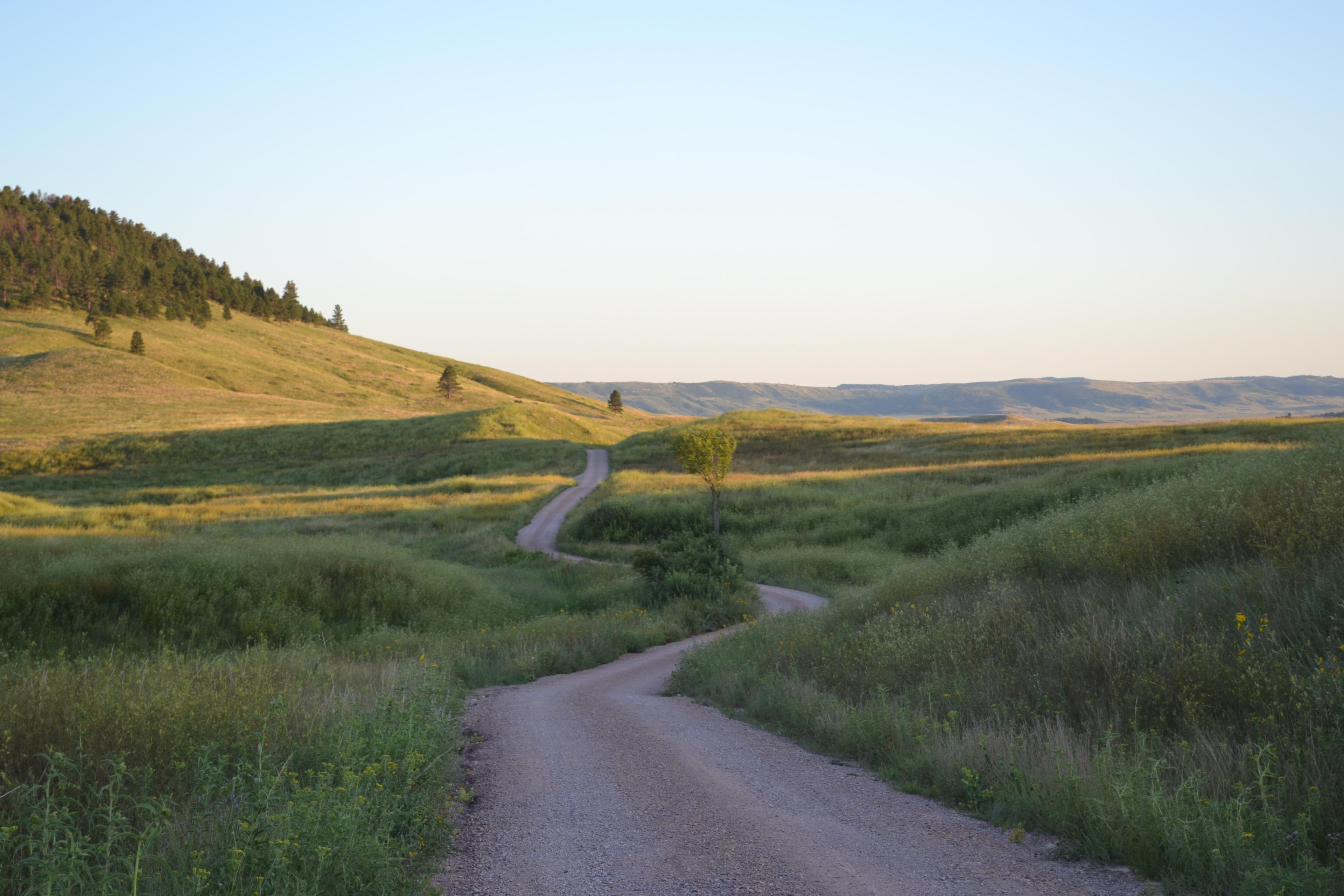 a gravel road winds across the prairie with rolling forested hills in the distance