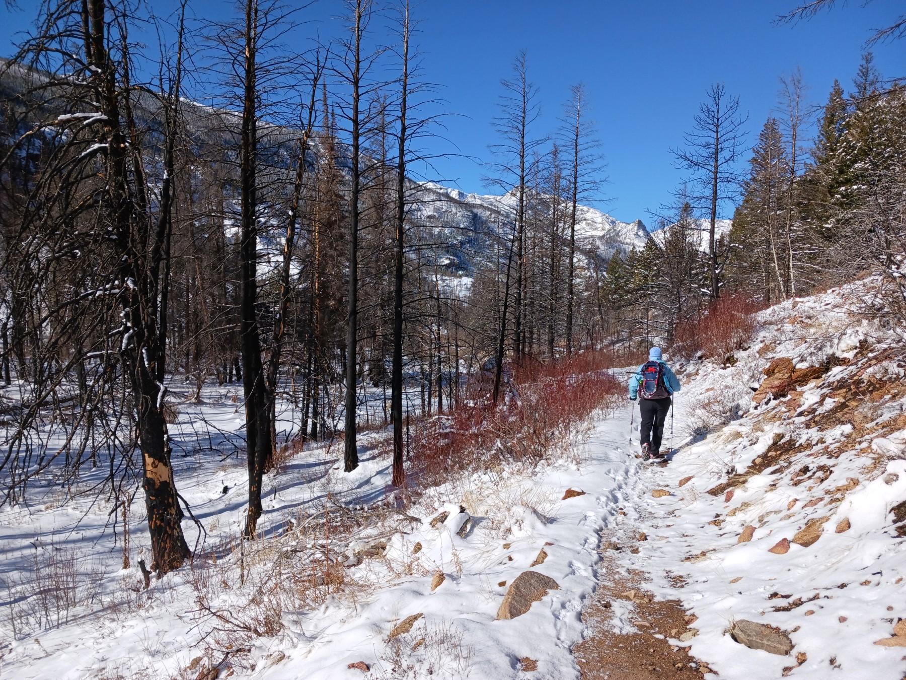 A person is hiking on a snow-covered trail with traction devices