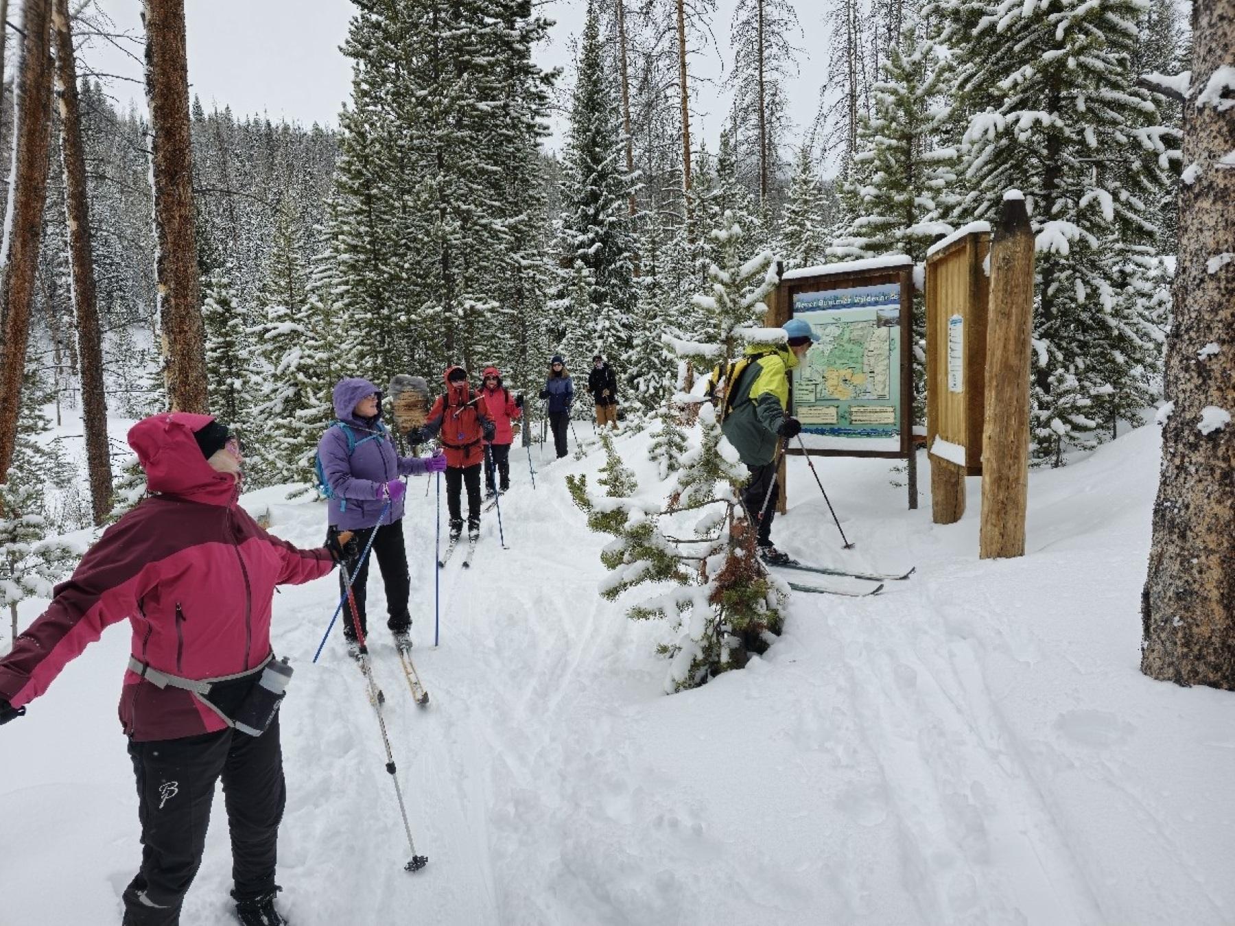 A group of seven people are cross-country skiing on a well-used trail.