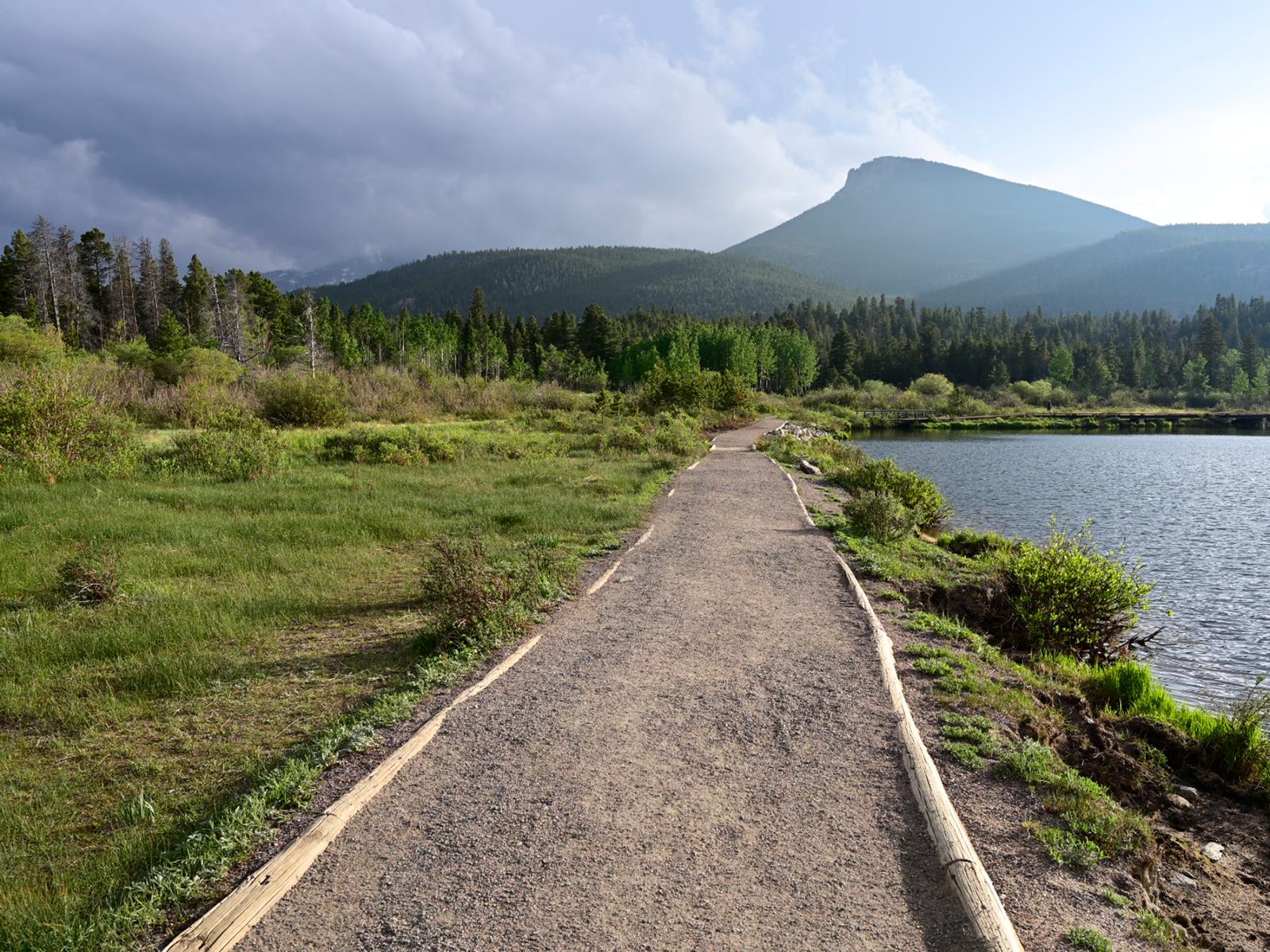 View of Lily Lake Trail and Longs Peak