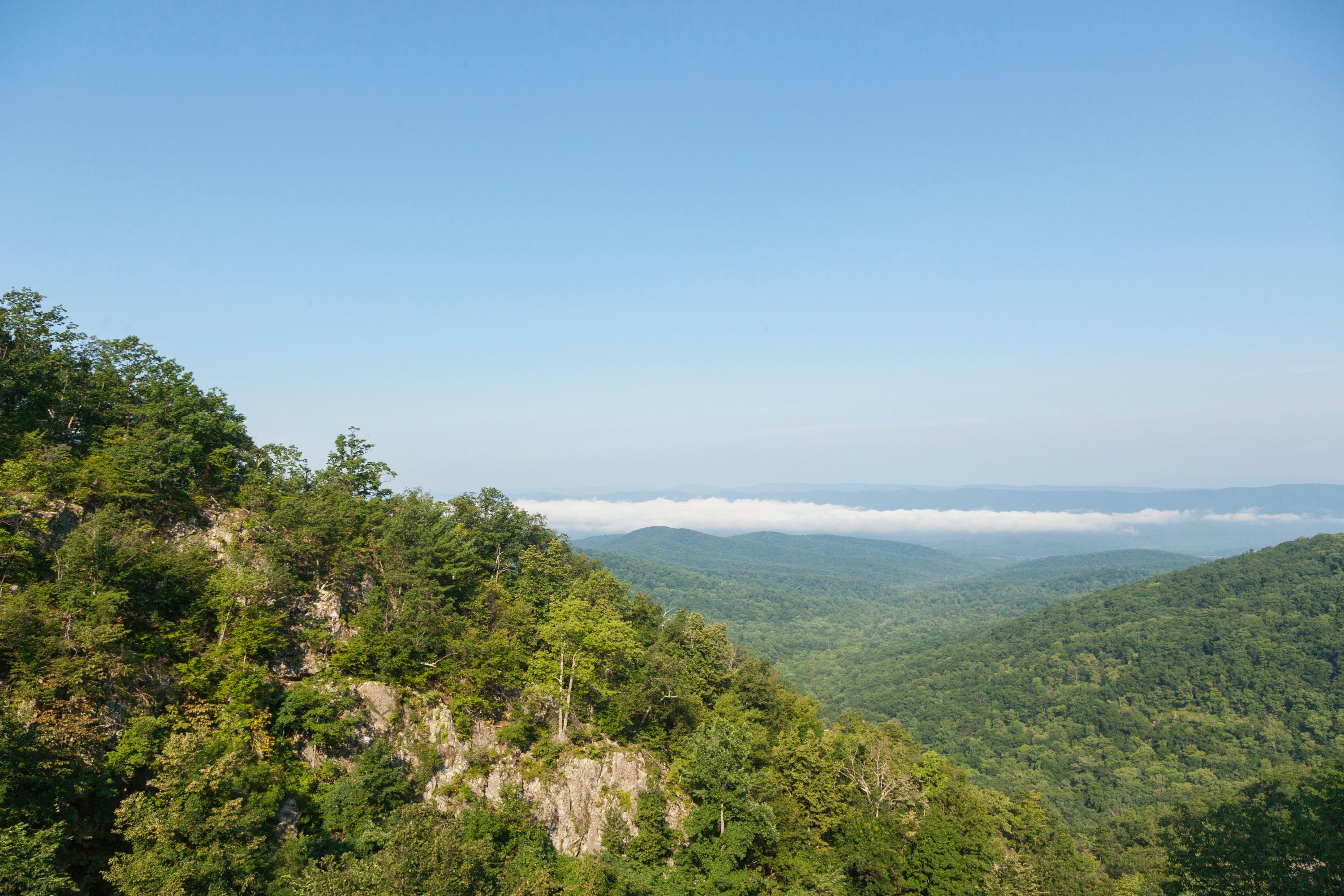 A viewpoint down into a small canyon lined with green trees with a valley beyond.