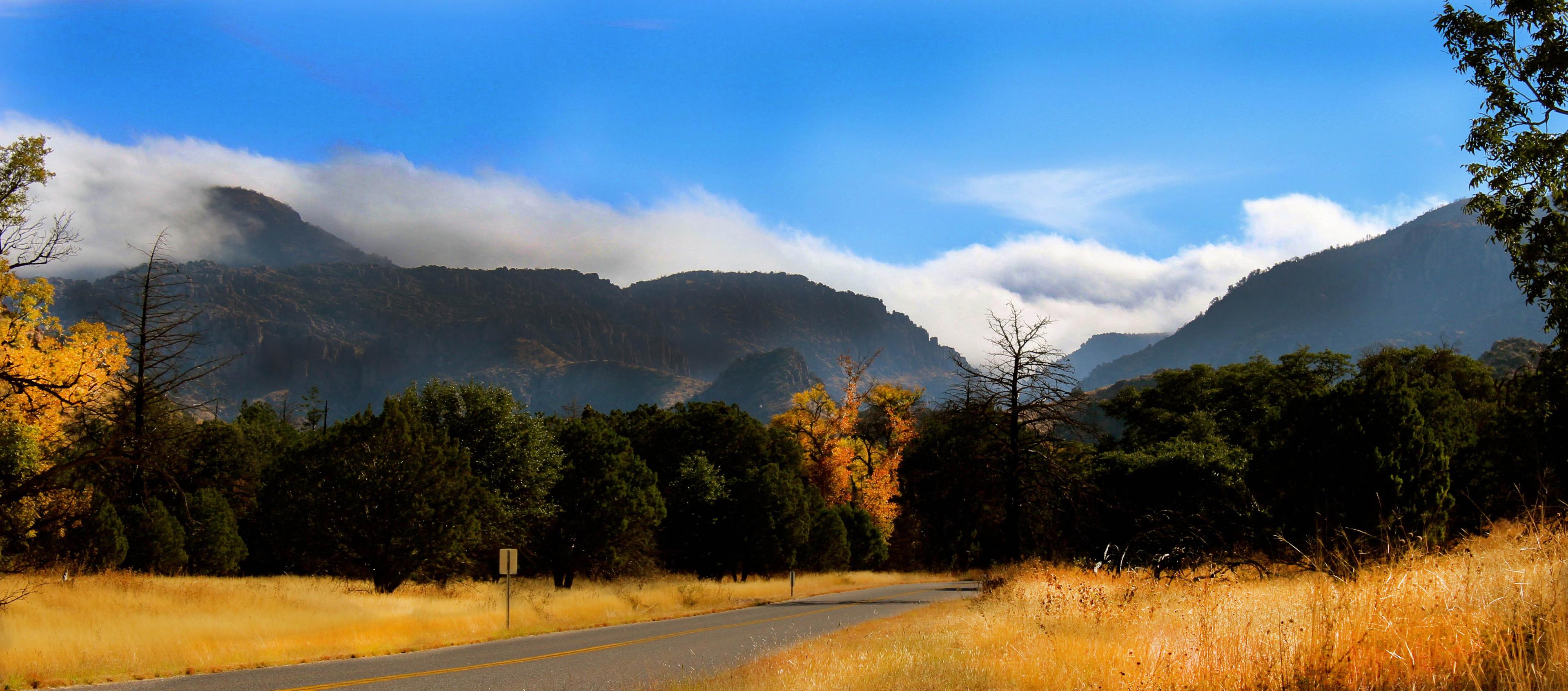 Road leading into grasslands and forests with surrounding mountains