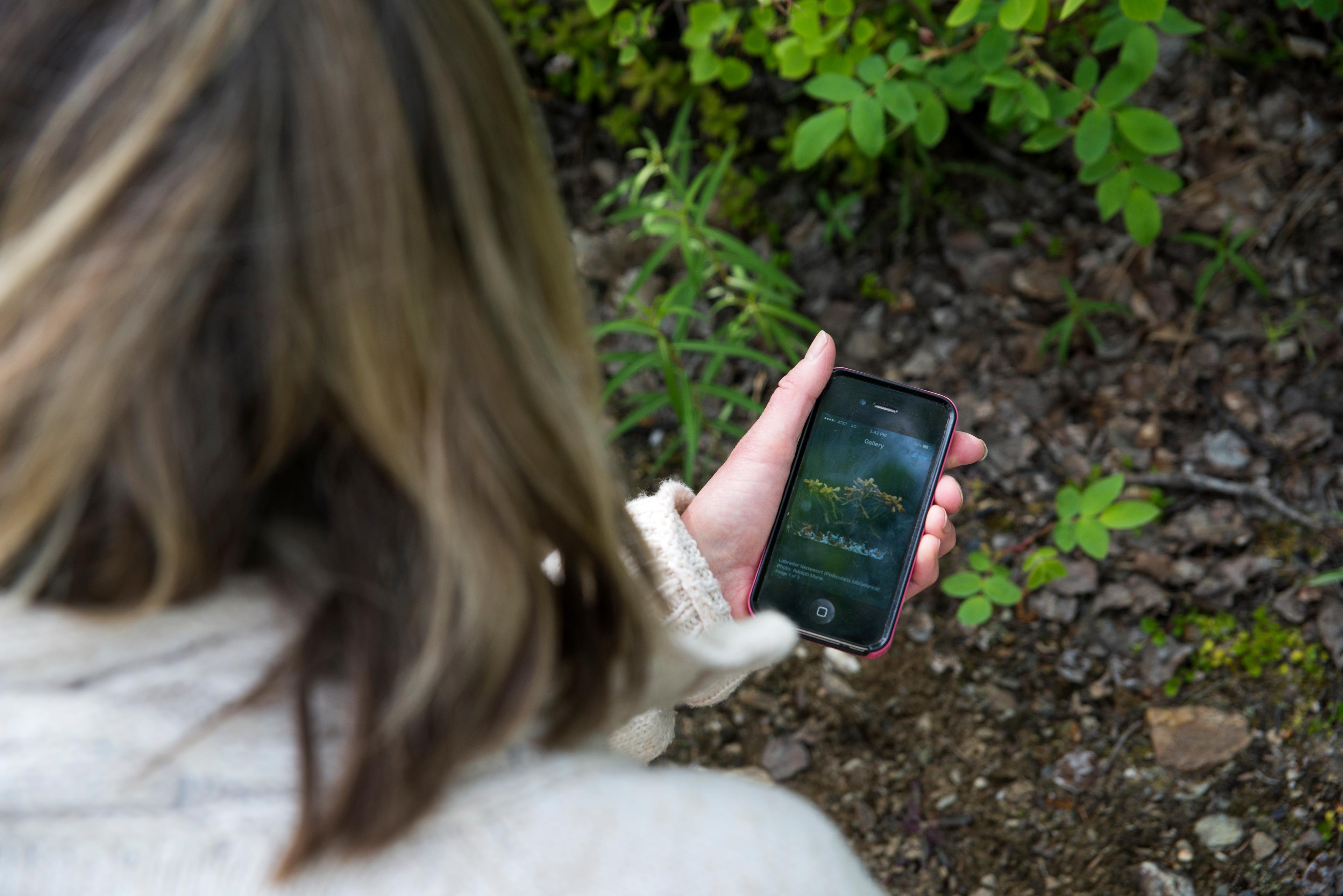 woman looking at her smart phone and a plant on a trail