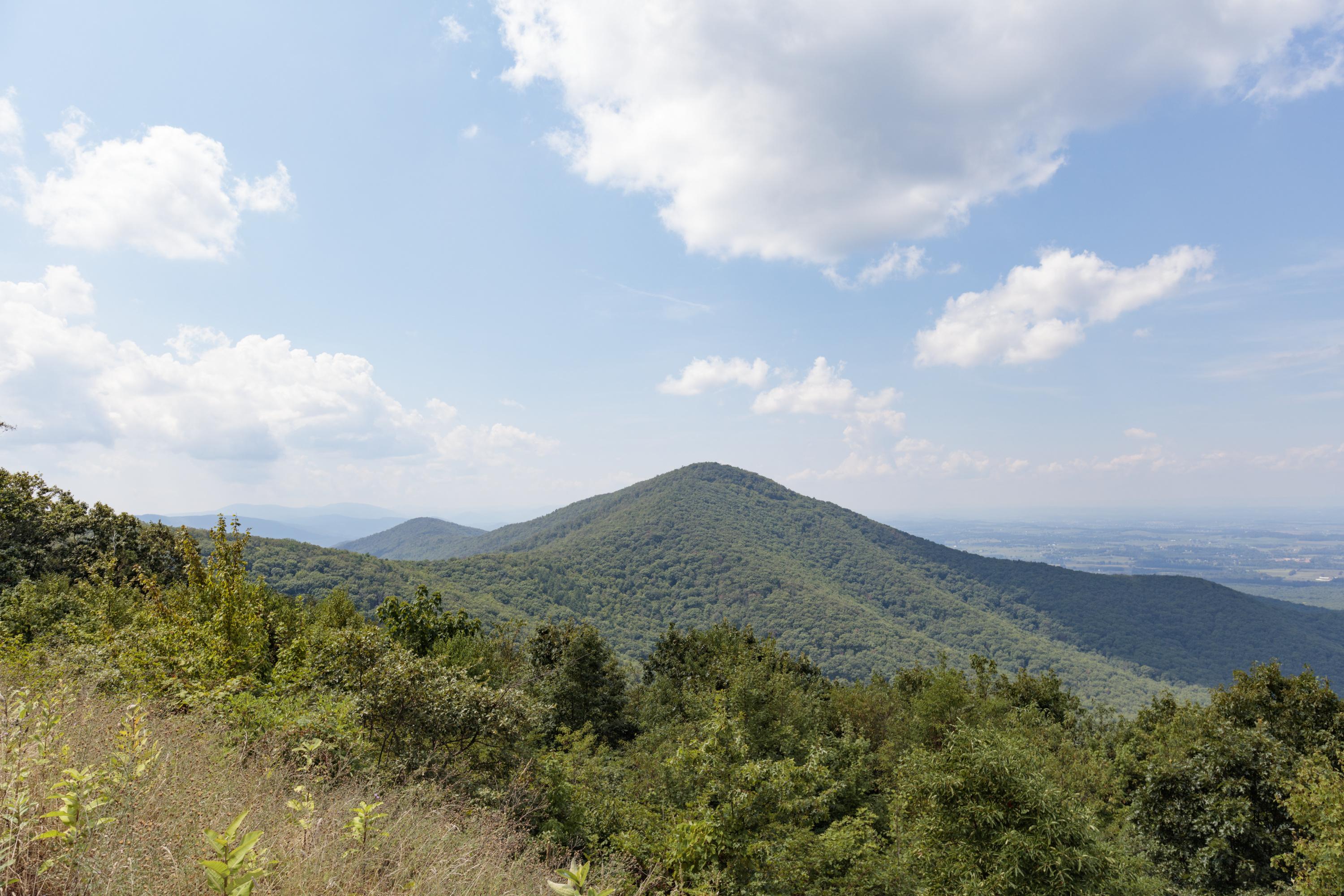 A mountain peak in the distance.