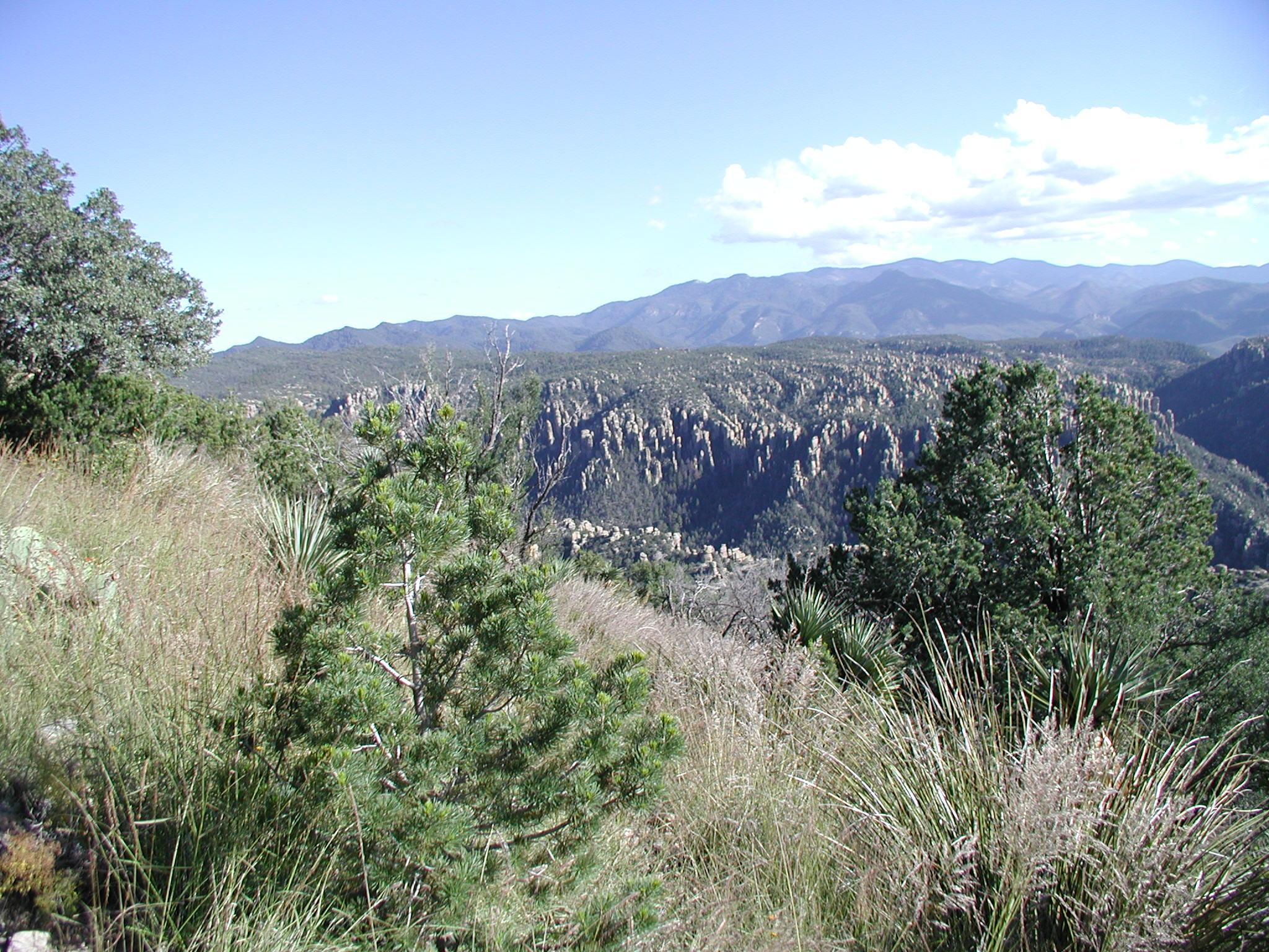 Green hillside with mountains and rock formations in the distance