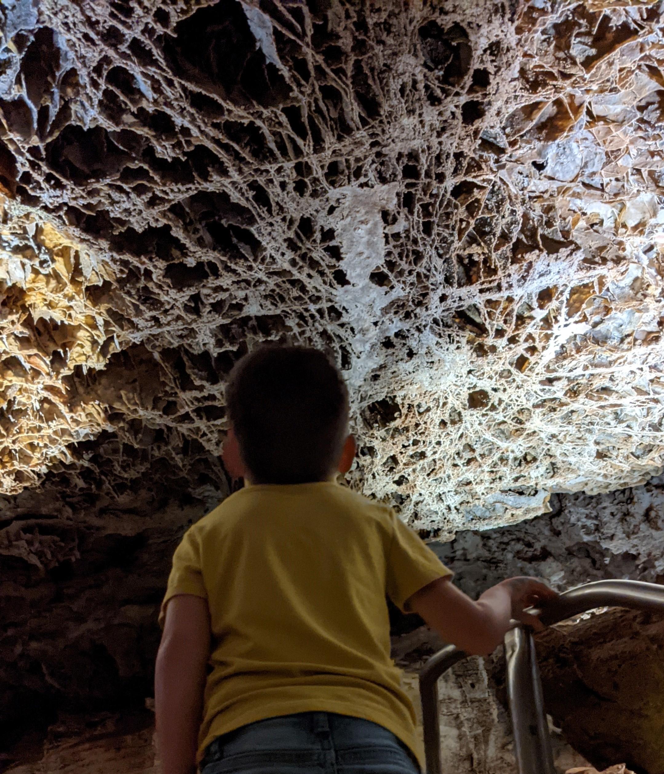 A young male visitor on a stairway stops to look at boxwork on the ceiling above him.