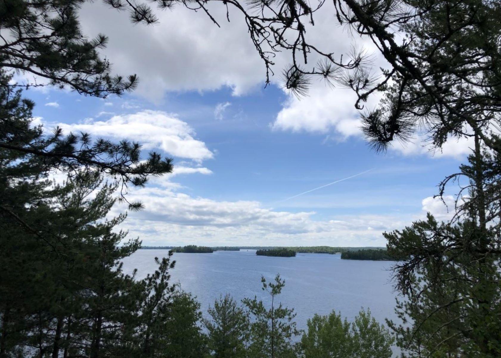 View overlooking Kabetogama Lake through pine trees and a few islands in the lake.