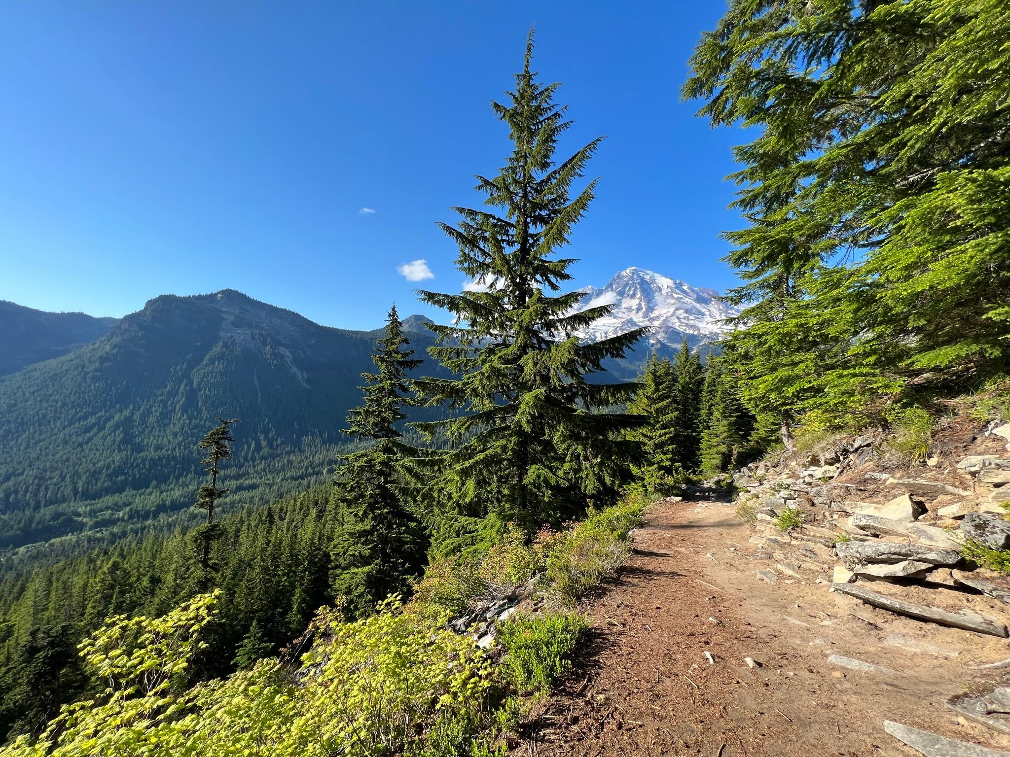 View of Mount Rainier from Rampart Ridge Trail