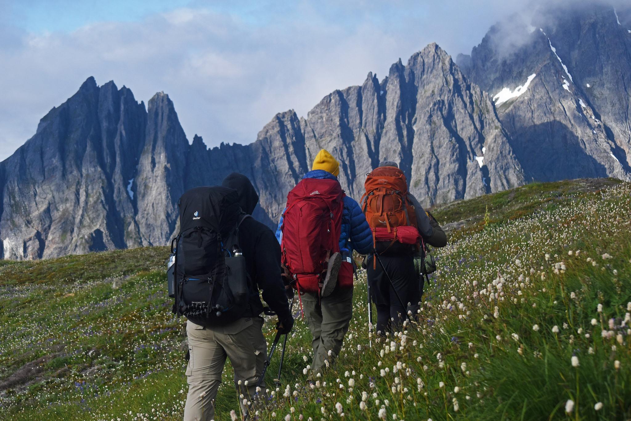 Three backpackers hike through a meadow with mountains in the distance.