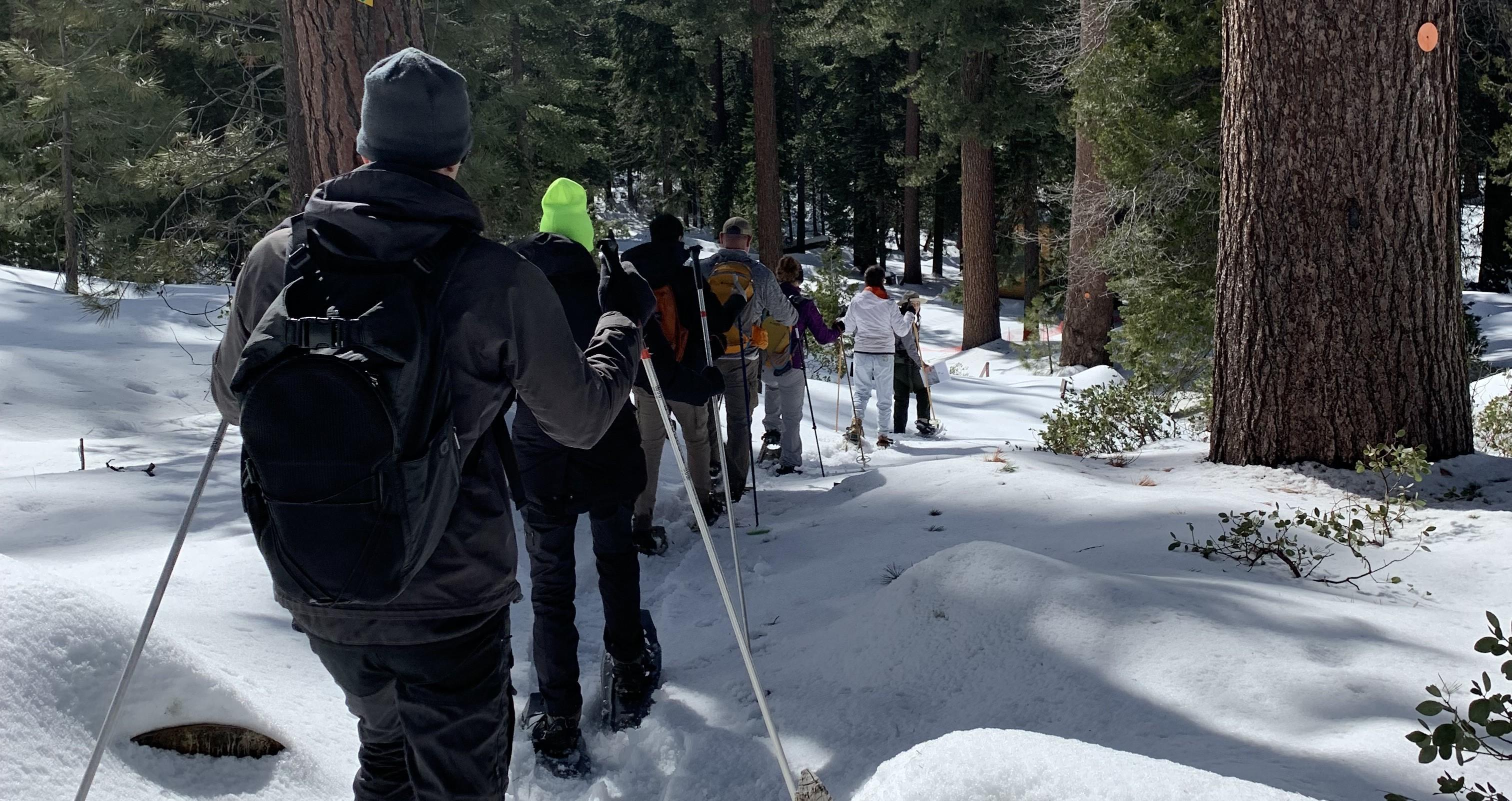 A group of visitors with snowshoes walk down a trail.