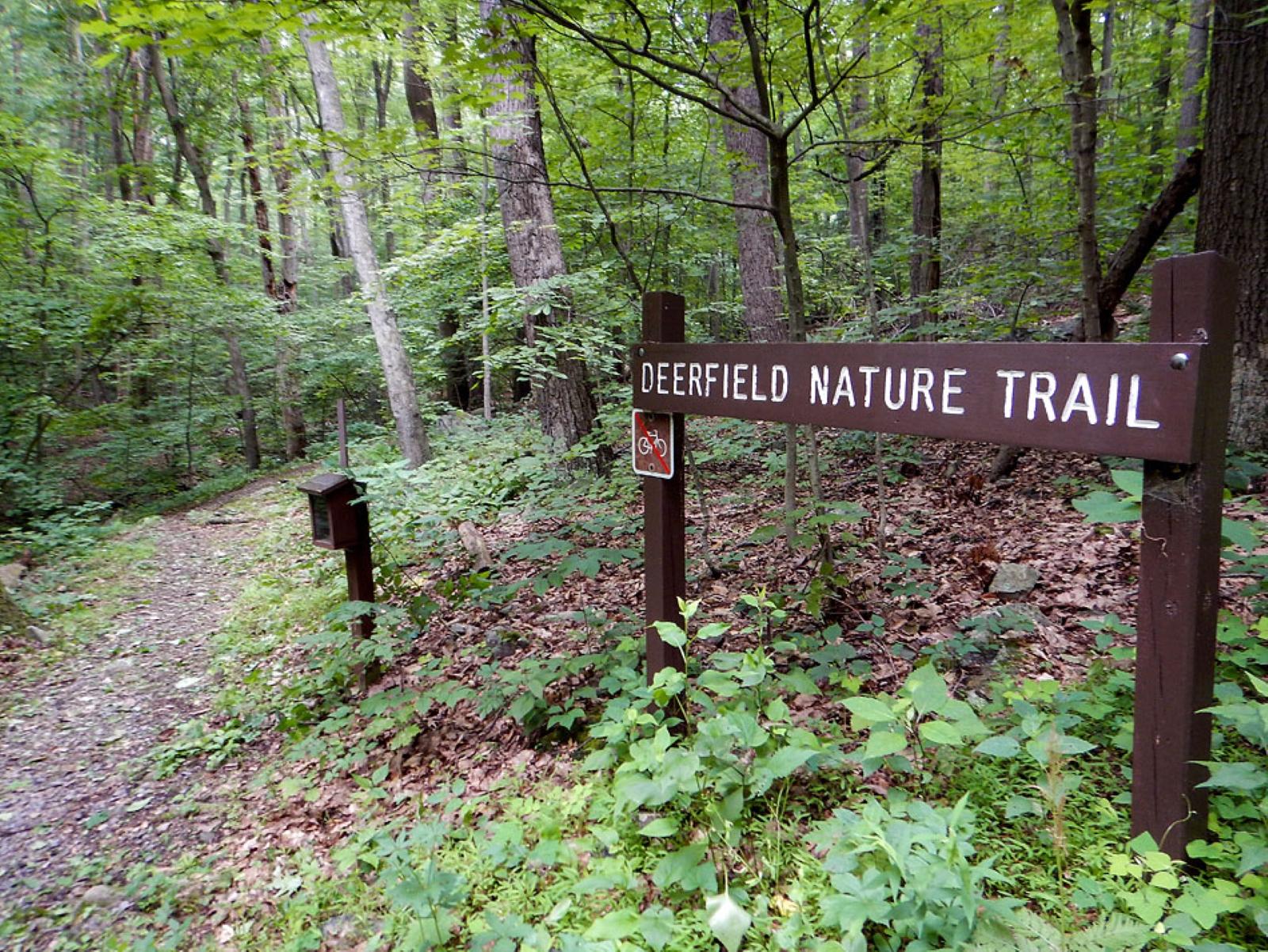 A brown wooden sign reading "Deerfield Nature Trail" next to a trail winding through a forest.