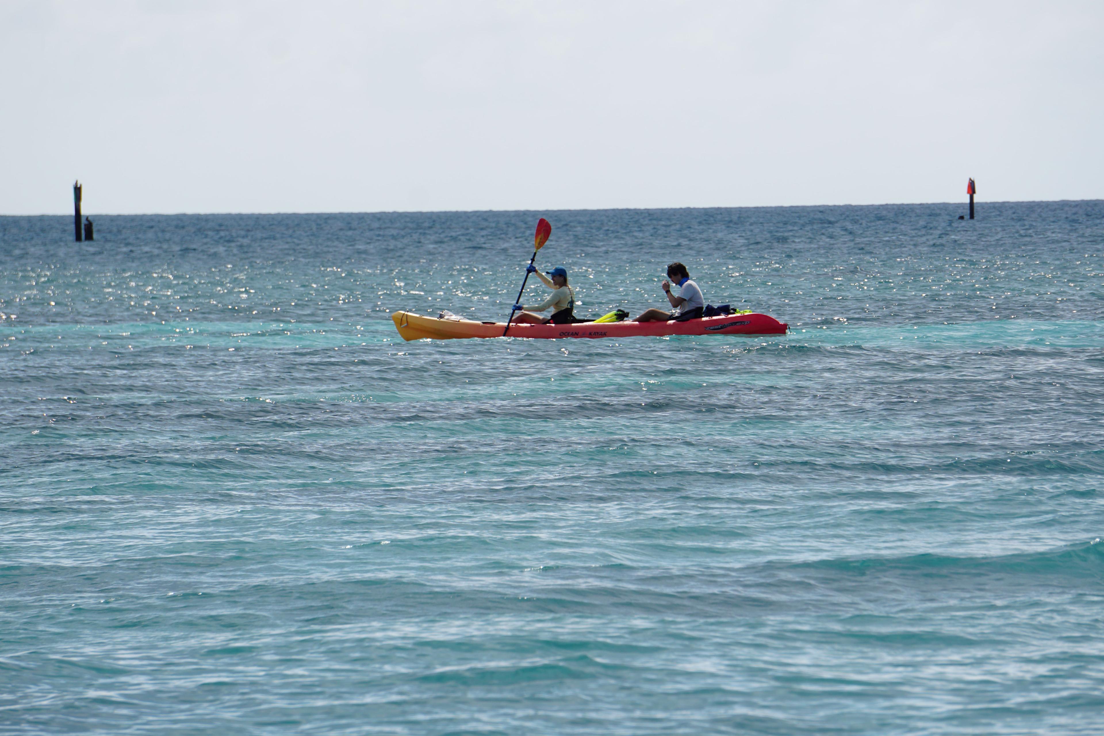 Kayakers