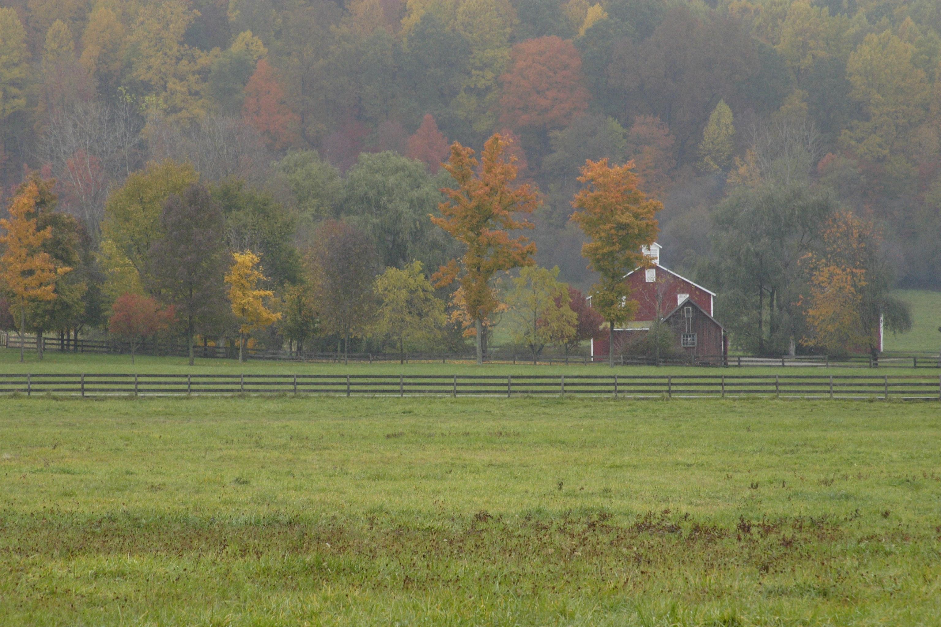 Scenic view of red barn with grassy fields in foreground and hillside of colorful leaves behind.