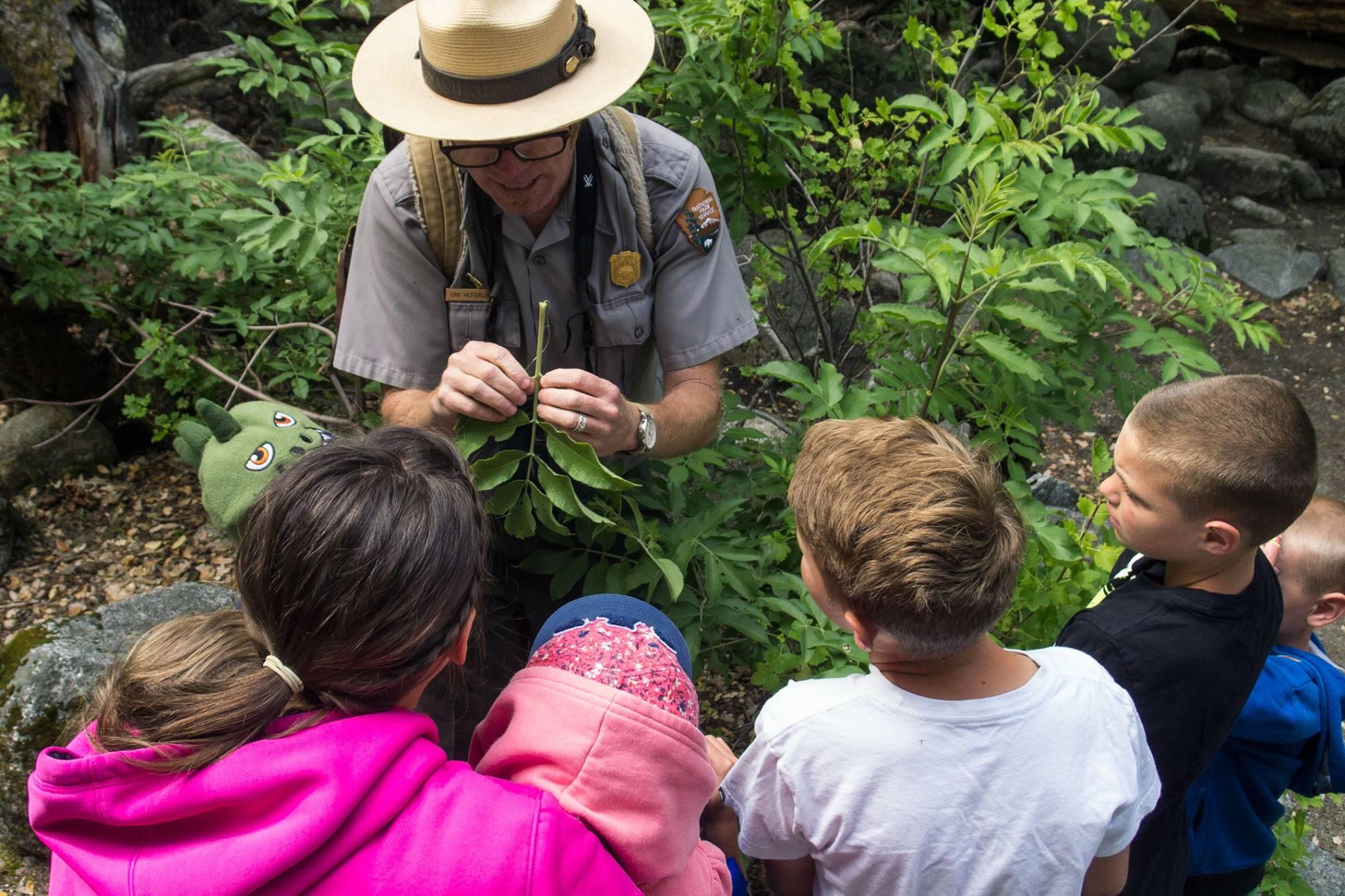 Park Ranger looking at something in nature with kids