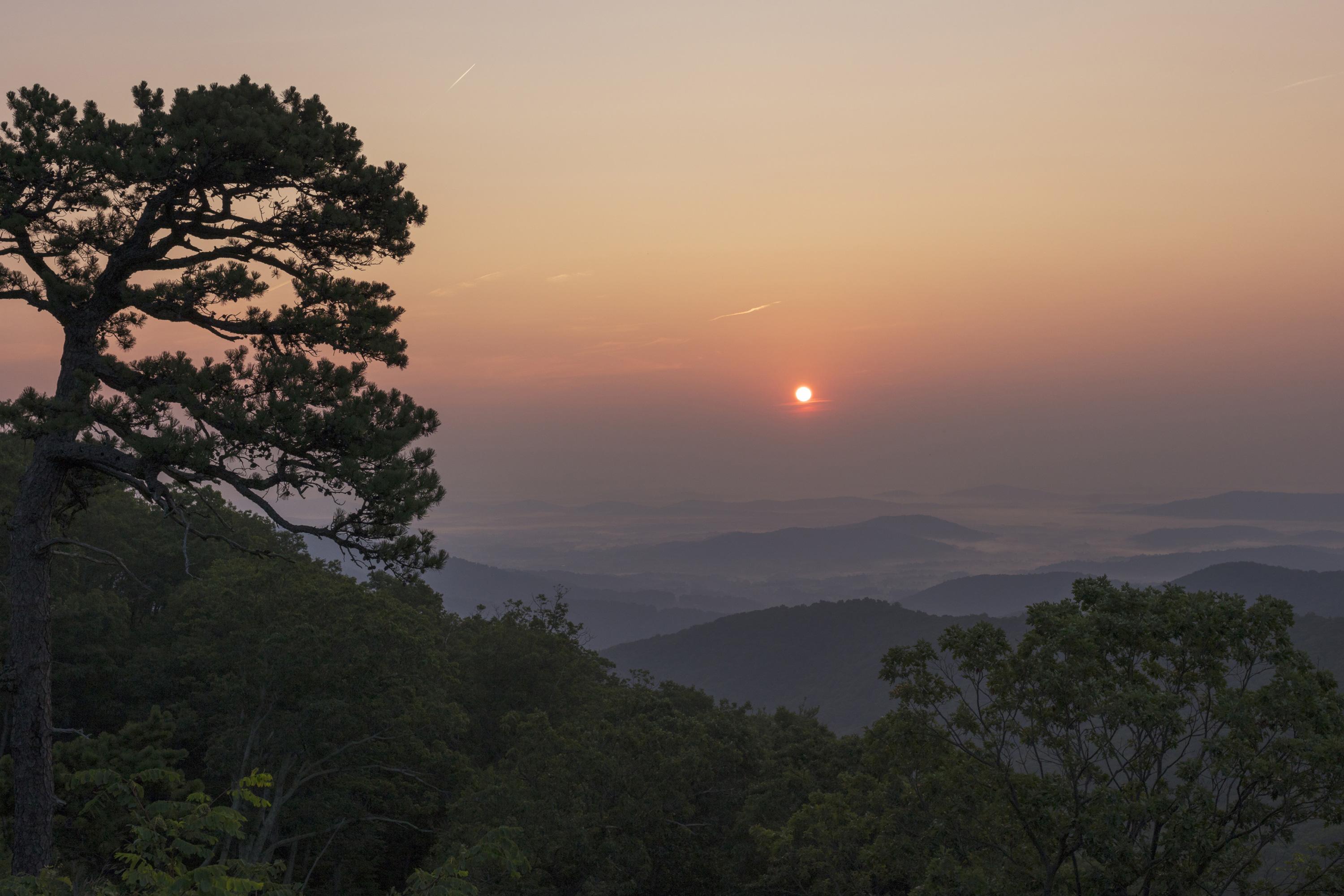 An orange sunrise behind the silhouette of a tree at an overlook.