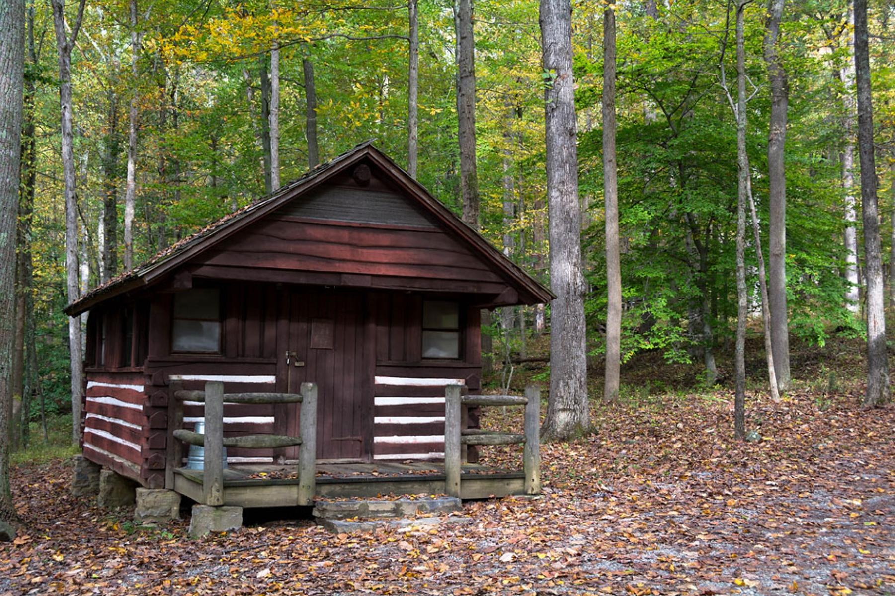 A brown, wooden cabin amongst a grove of green trees.