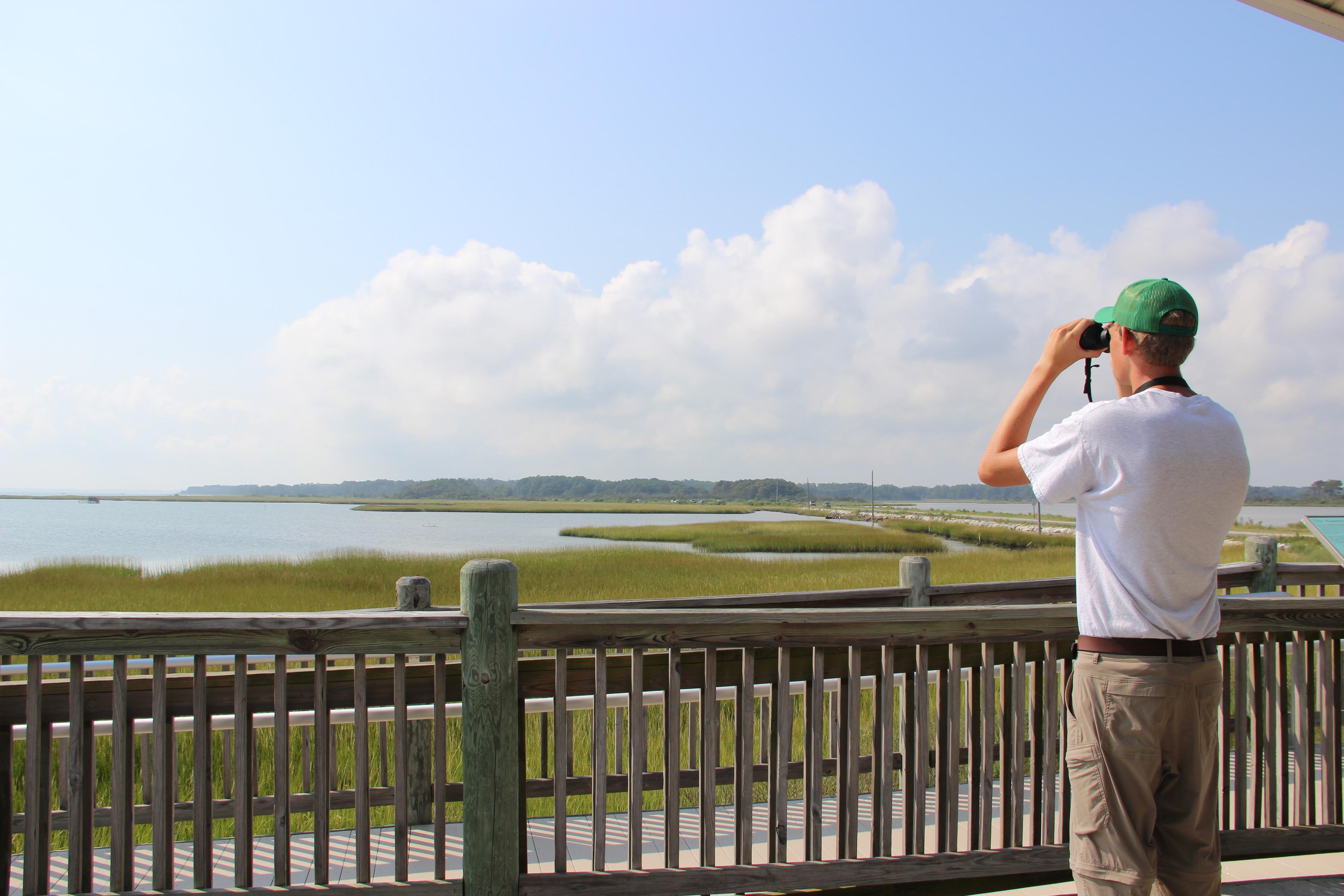 A volunteer using binoculars to bird from the deck of Toms Cove Visitor Center