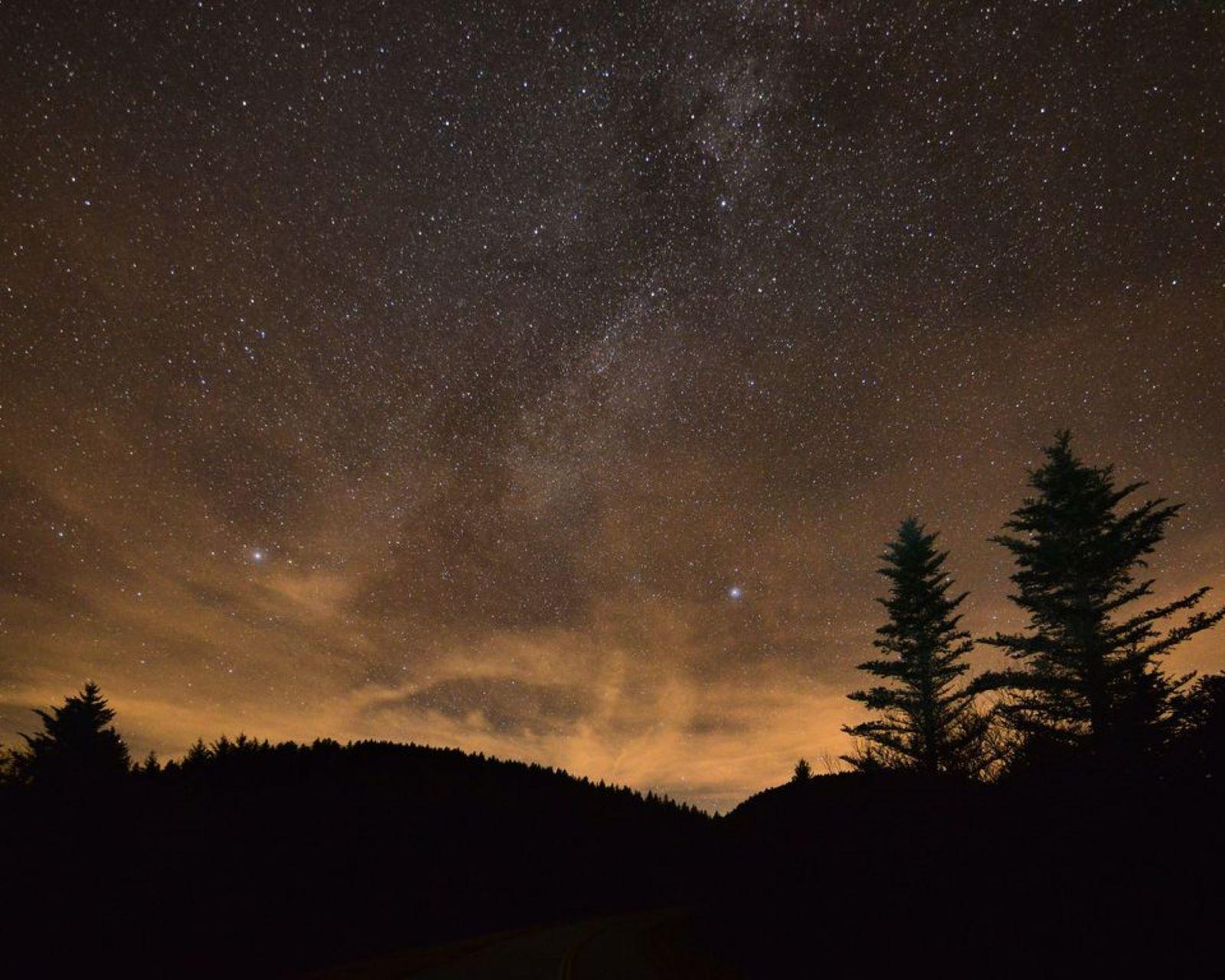 Night sky with multitude of stars over silhouetted tree topped mountains