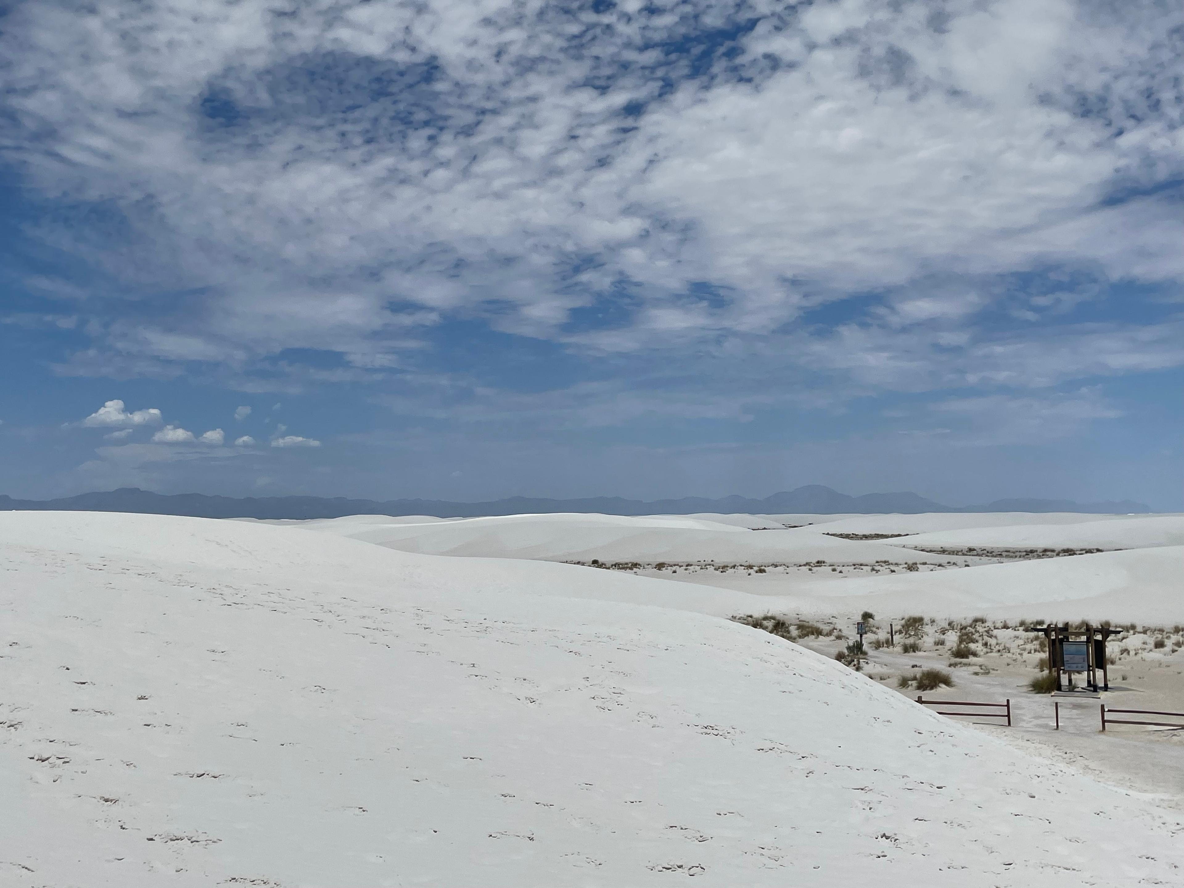 sitting on top of a white dune with dunes stretching to the horizon. A trailhead sign seen below.