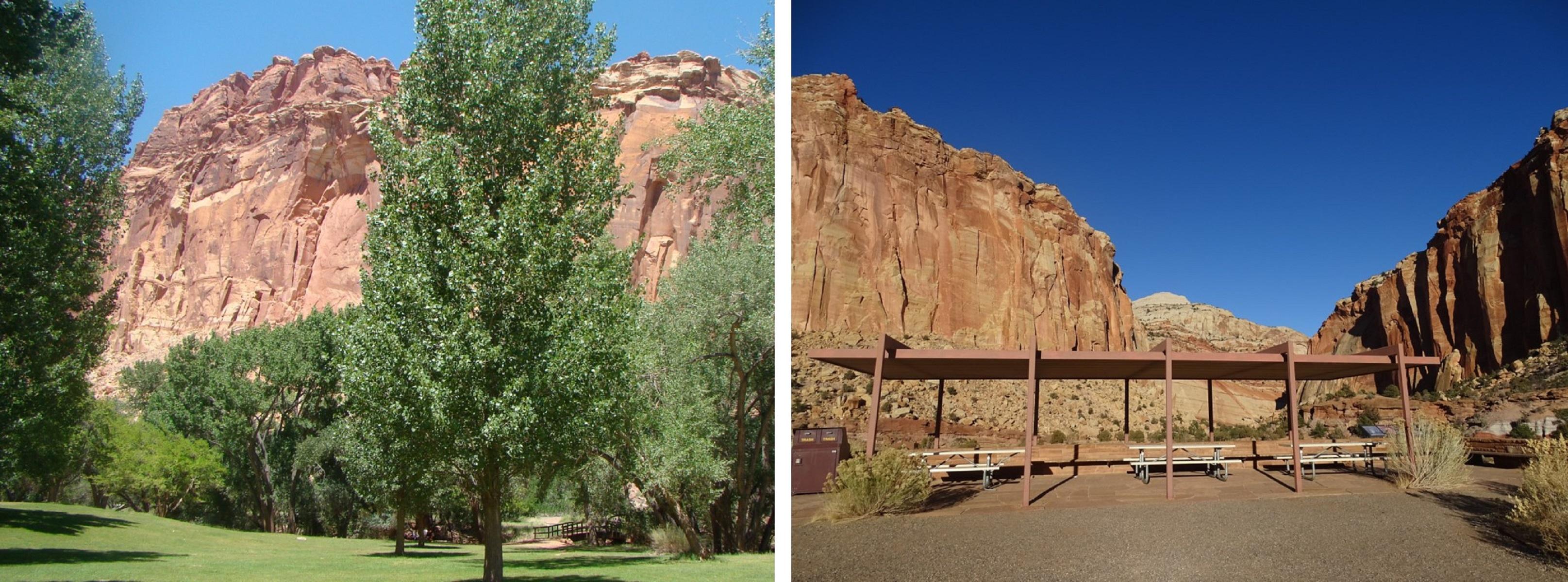 Lush, green grassy lawn with trees and red cliffs; covered picnic tables at the head of red canyon.