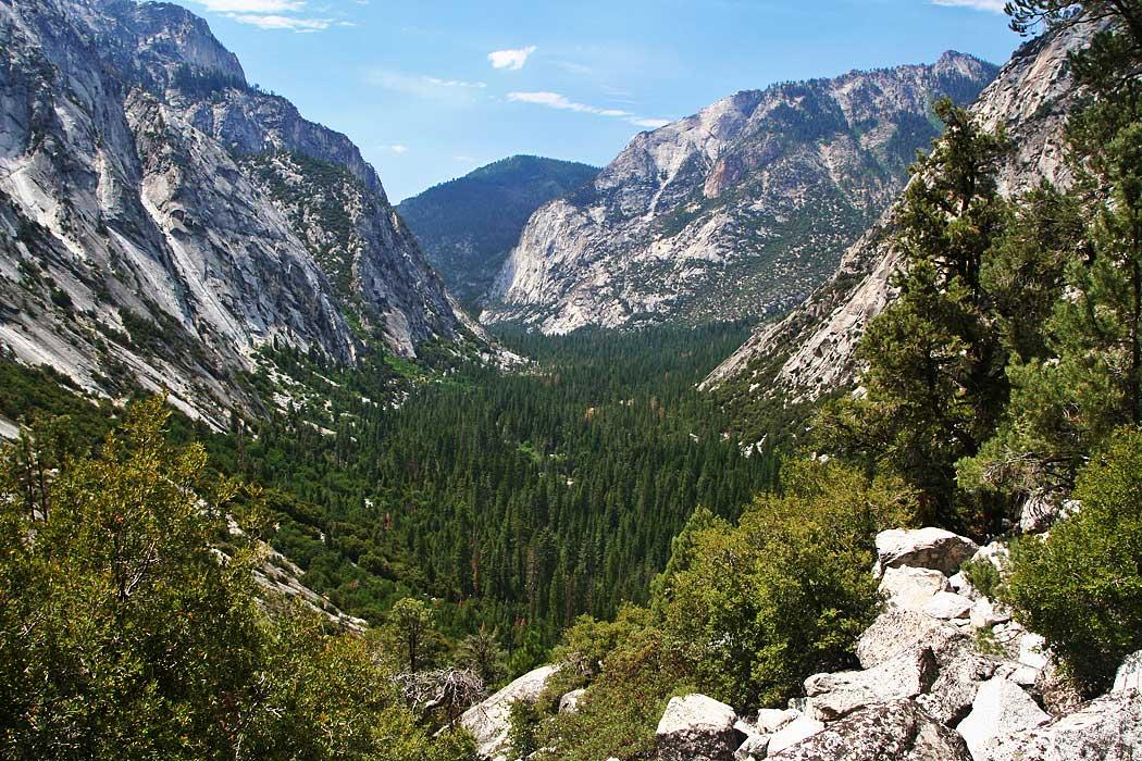 A deep canyon with a forested floor and steep granite cliffs