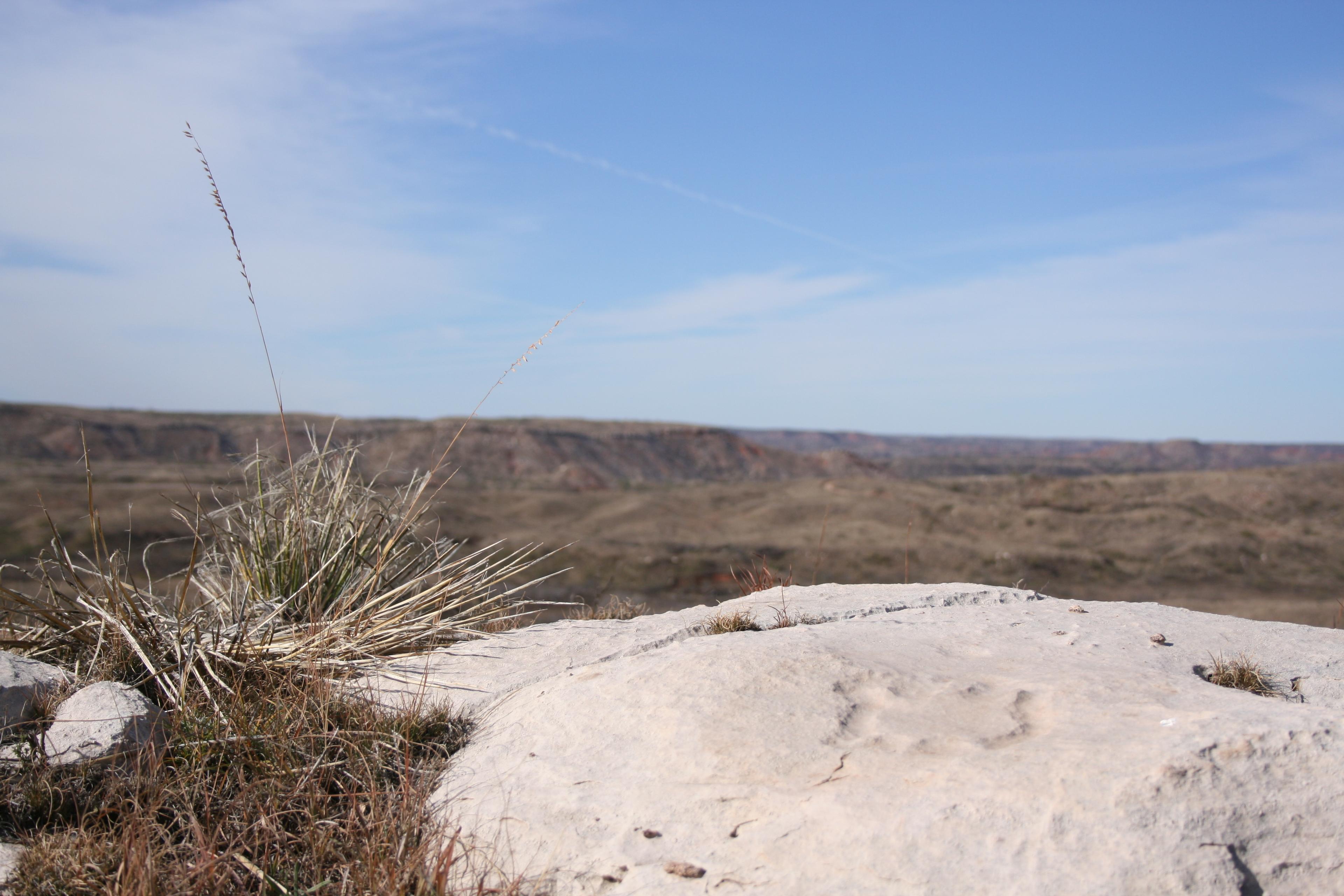 Turtle Petroglyph at Antelope Creek Village Site