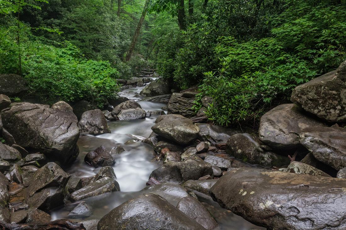 Rhododendron bushes line the banks of a stream filled with large boulders.