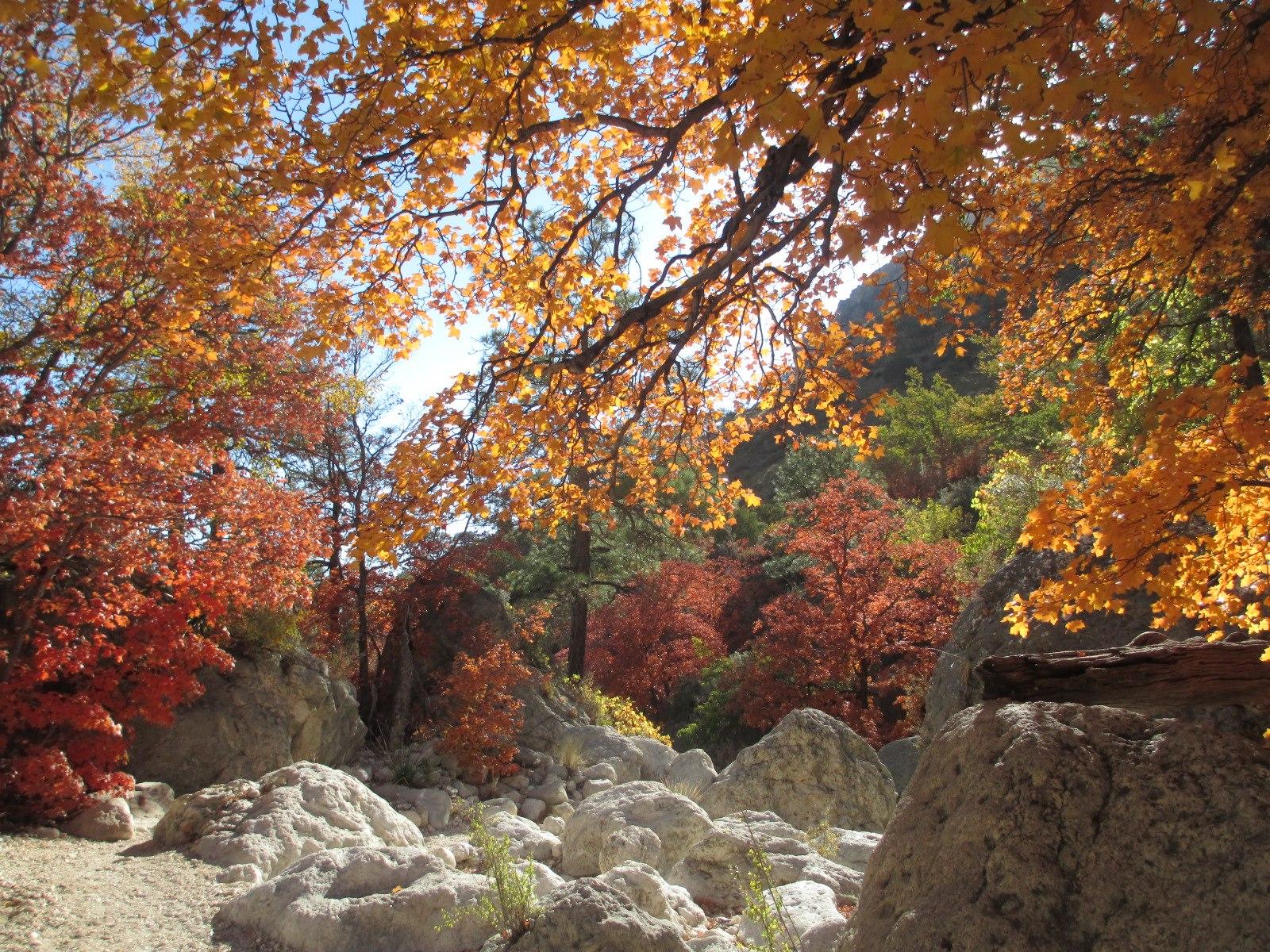 Fall colors in Devil's Hall