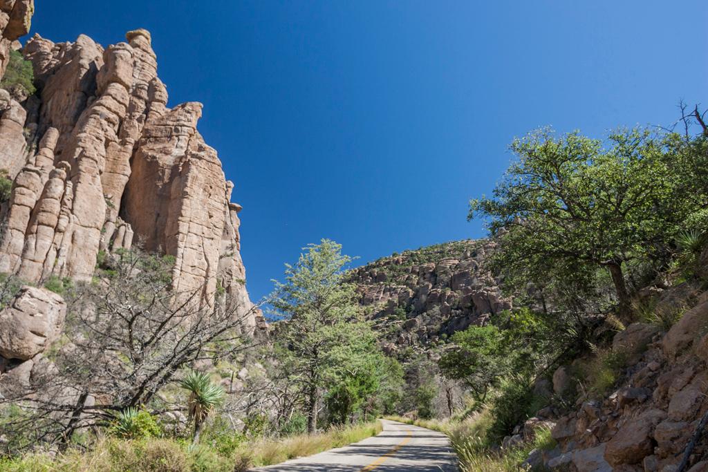 A narrow road winds between tall oaks and rock cliffs