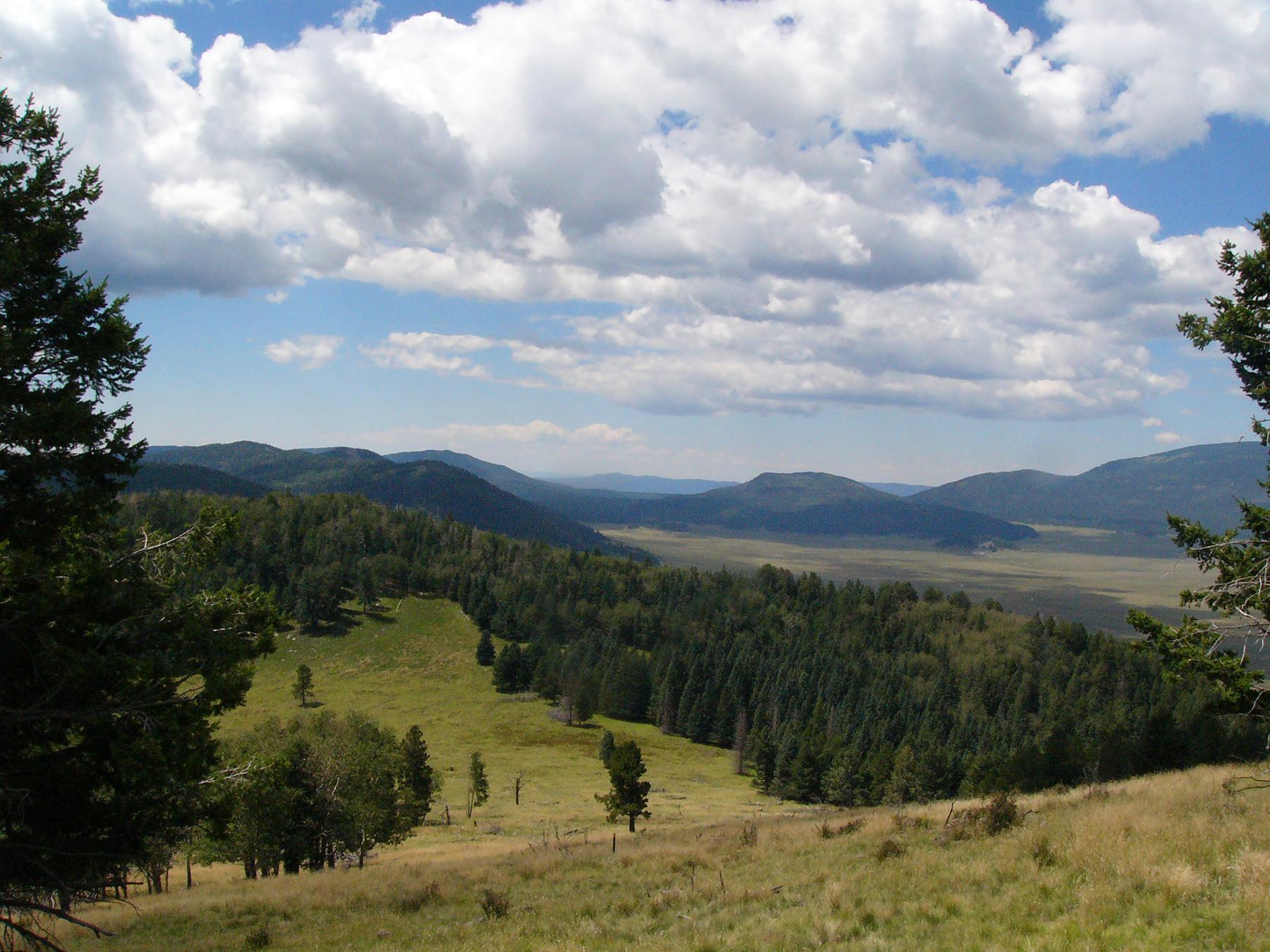 a view of the Valles Caldera from Cerro Grande