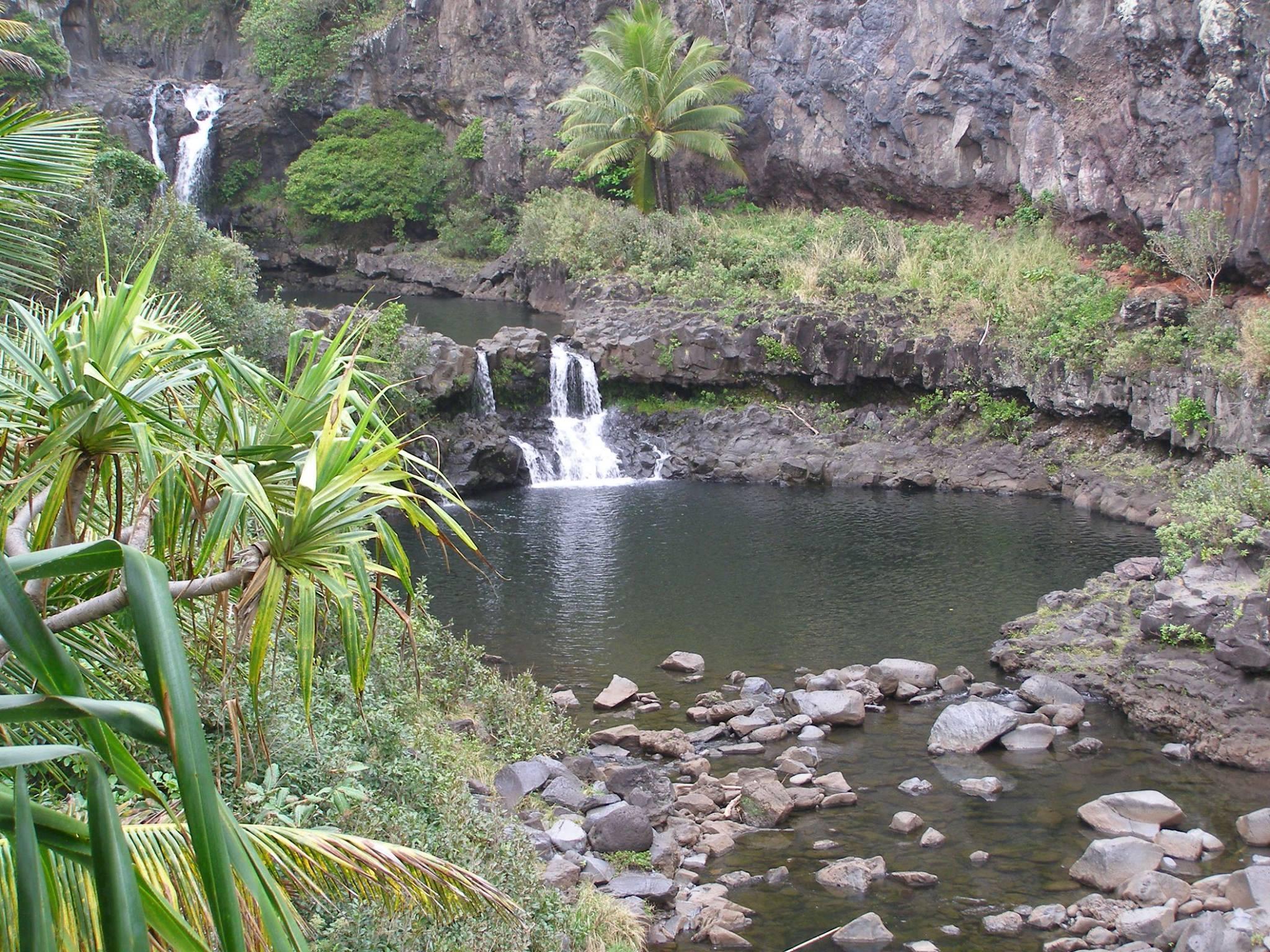 The Pools of ?Ohe?o in the park's Kipahulu District