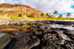 Rocky coastline with palm trees and a cliff beyon